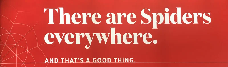 Ad excerpt spotted by Rachel Santos
