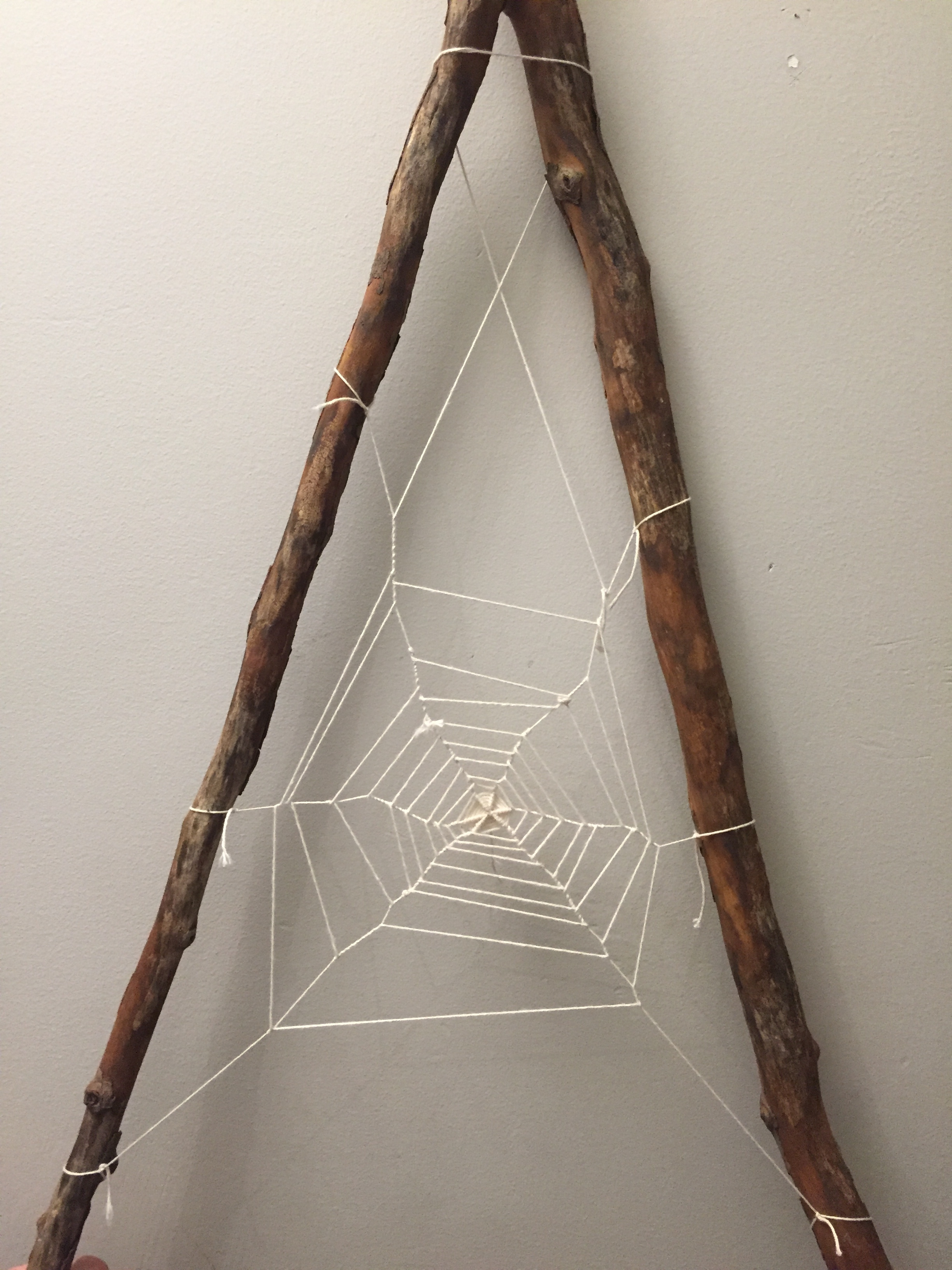 The completed web. Maya Eilam