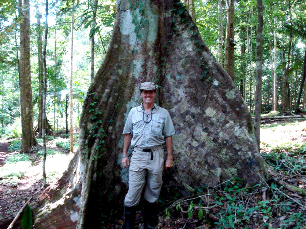 Ed+Fletcher++banyon+tree+trunk+(002).jpg