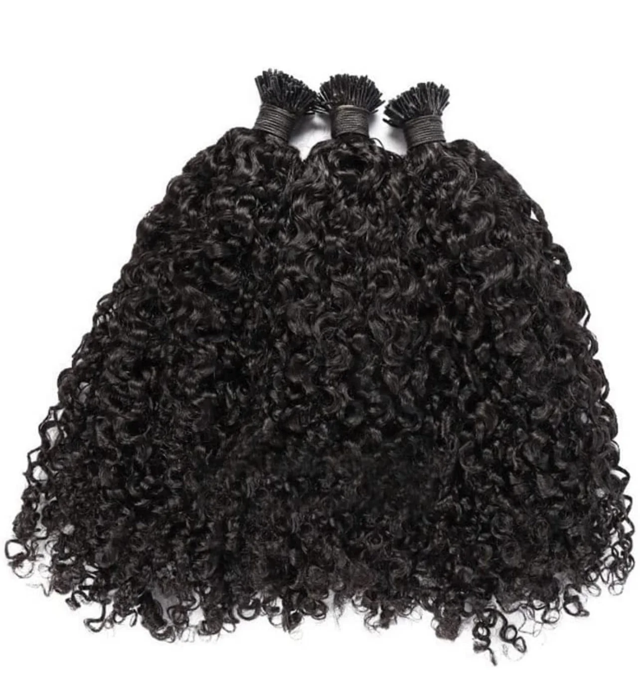 I-tips Burmese Curly