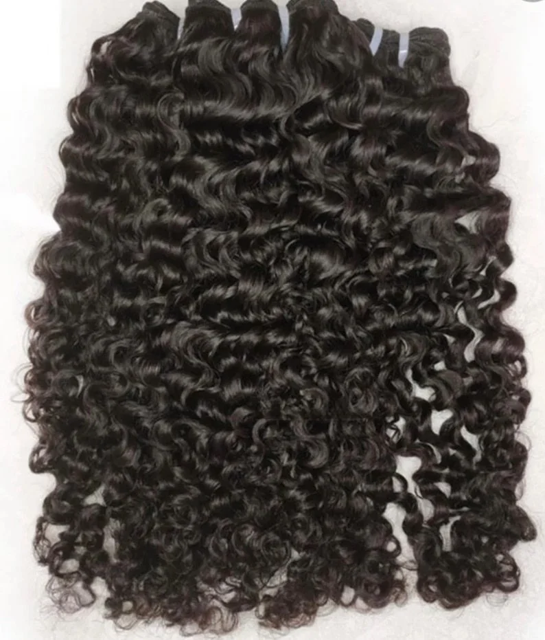 Burmese Curly (Bundle)