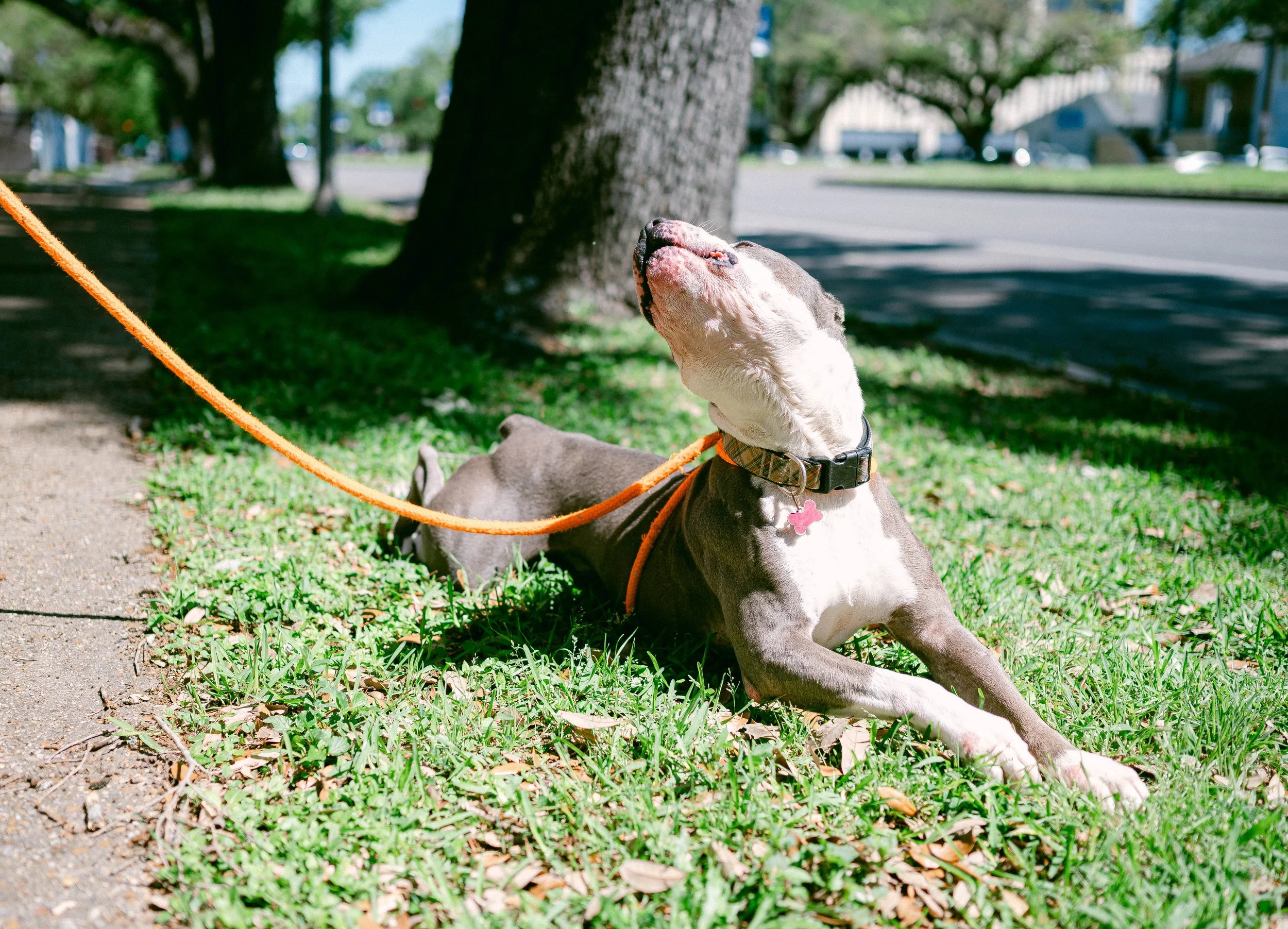 250409zeusrescues_0737.jpg