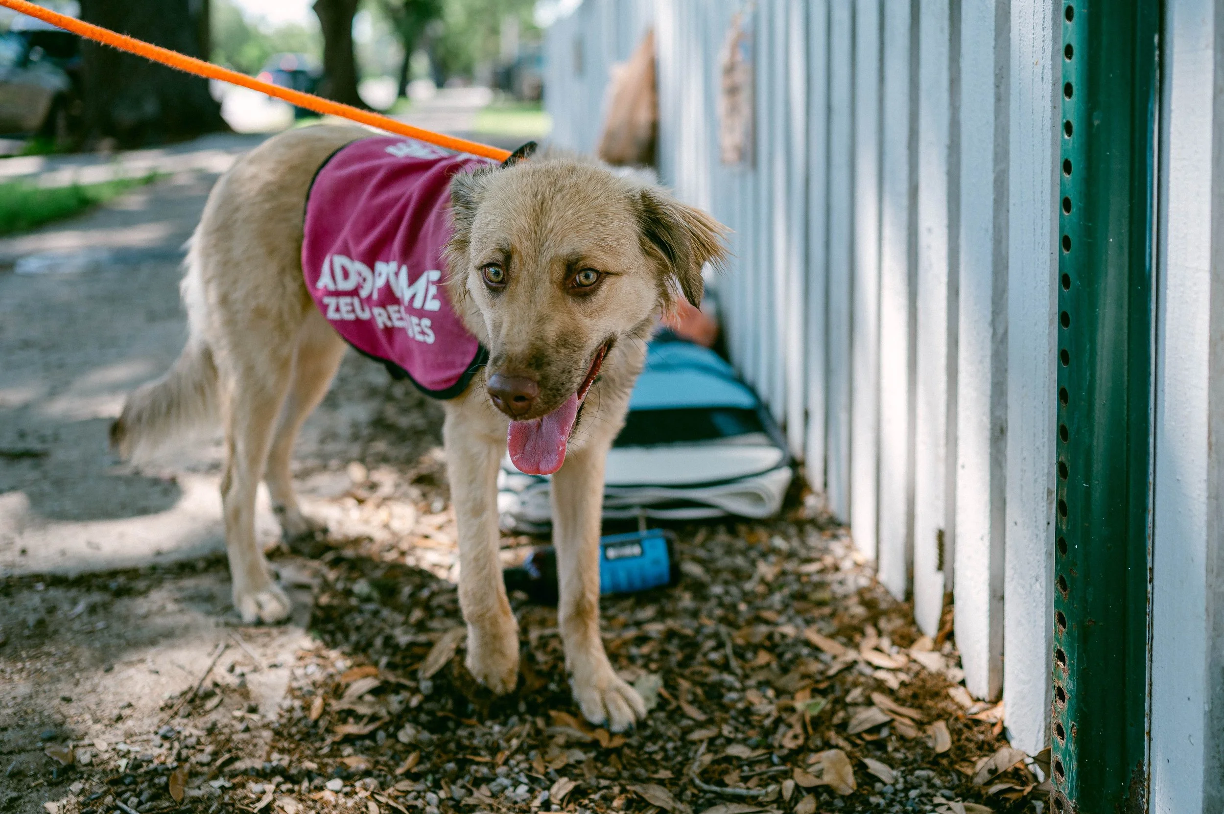 250409zeusrescues_0648.jpg
