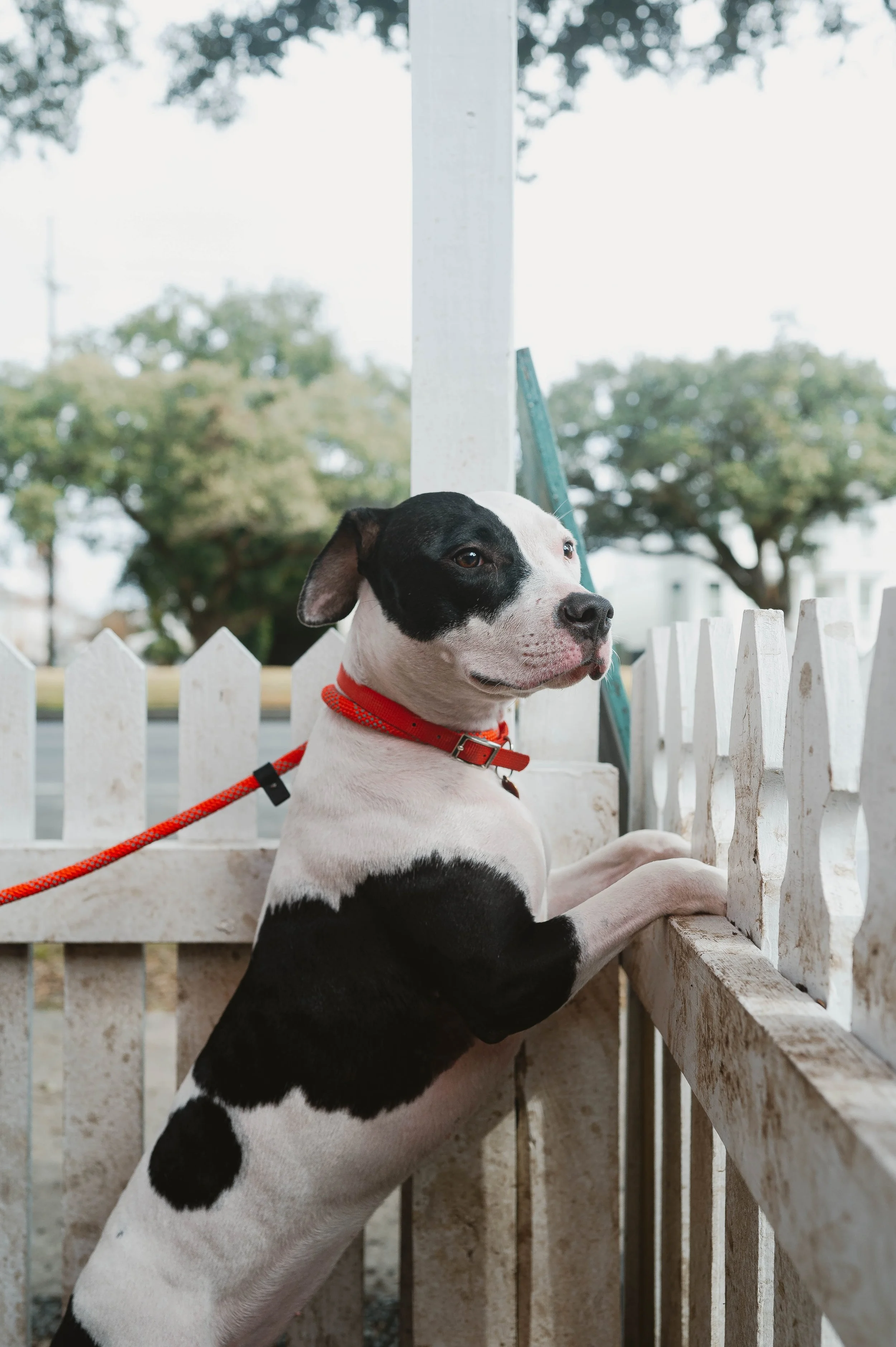 250130zeusrescues_0057.jpg