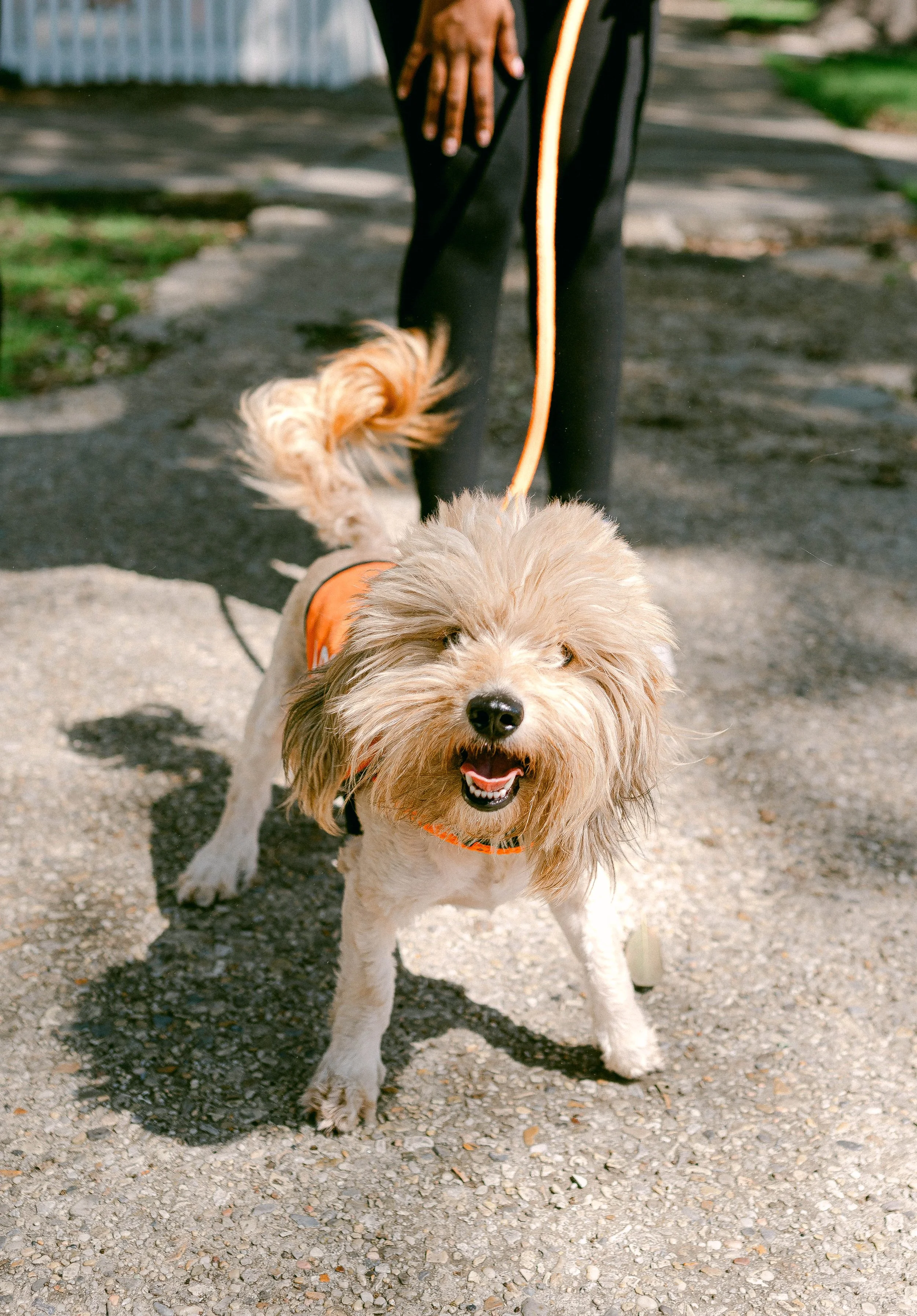 250409zeusrescues_0434.jpg