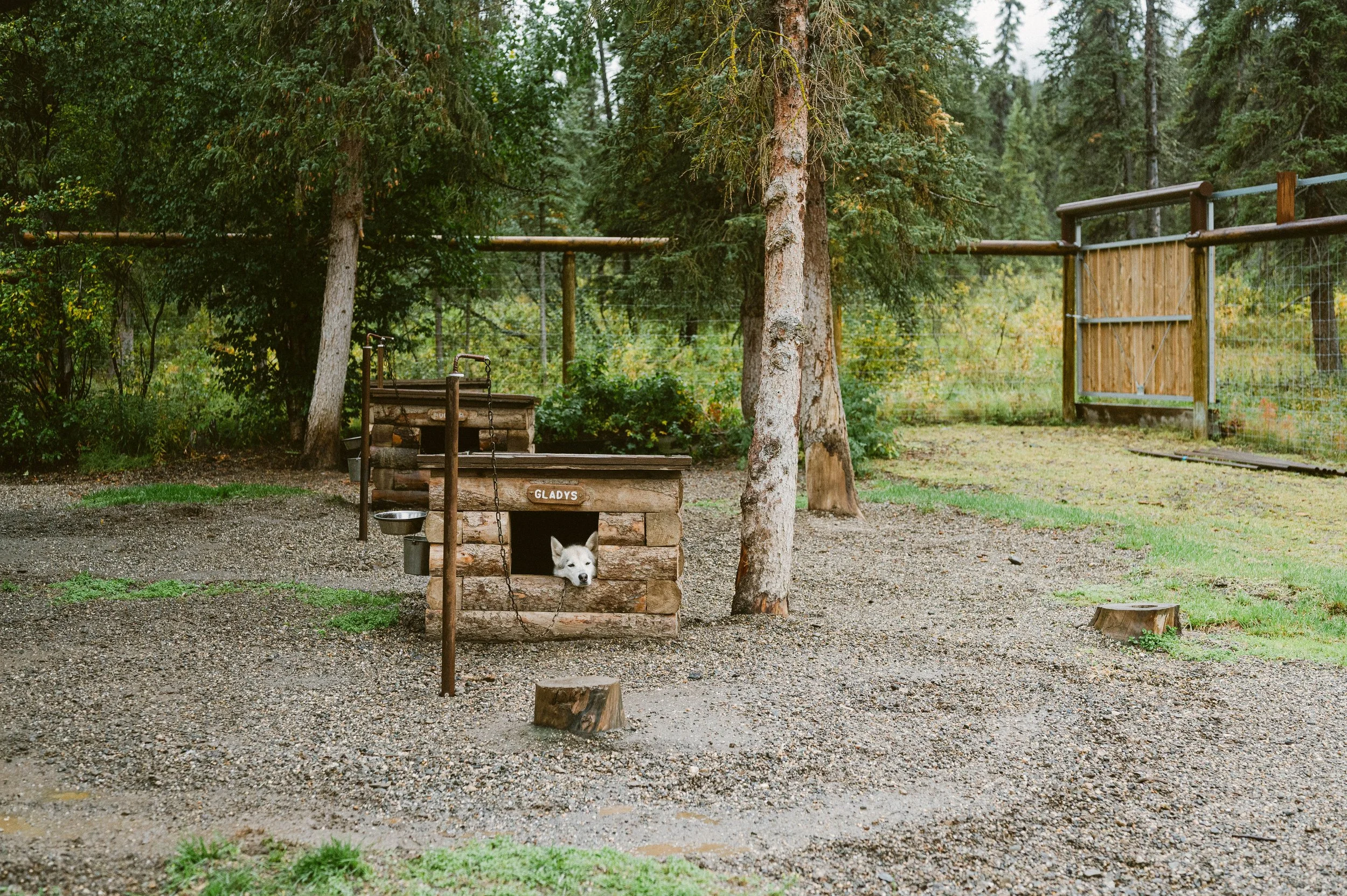 230831-0902denali_0203.jpg