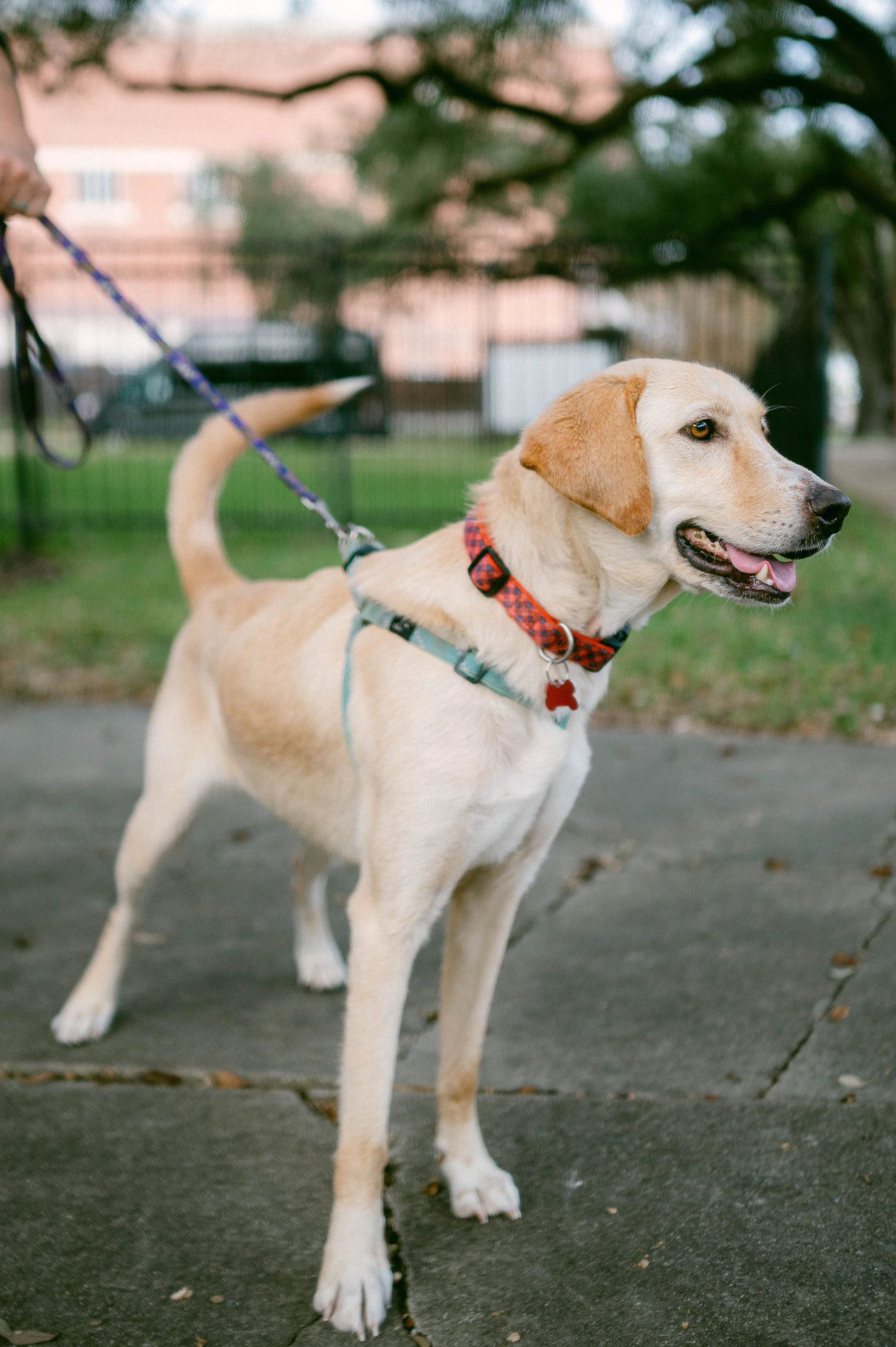 241216zeusrescues_0415.jpg