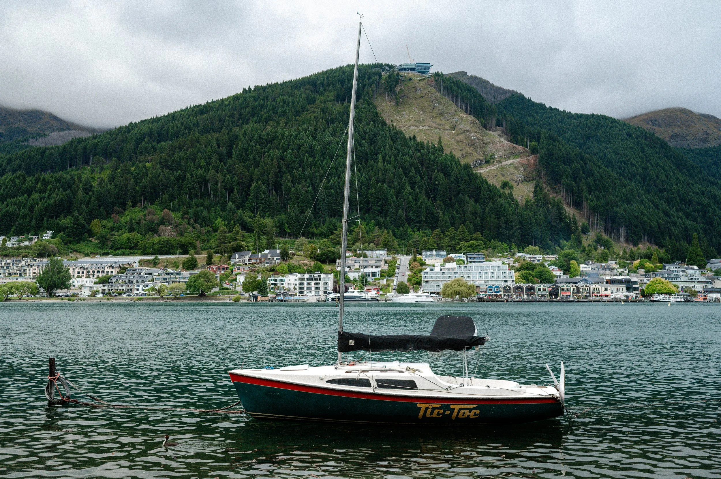 251230-260106HMnewzealand_0455.jpg