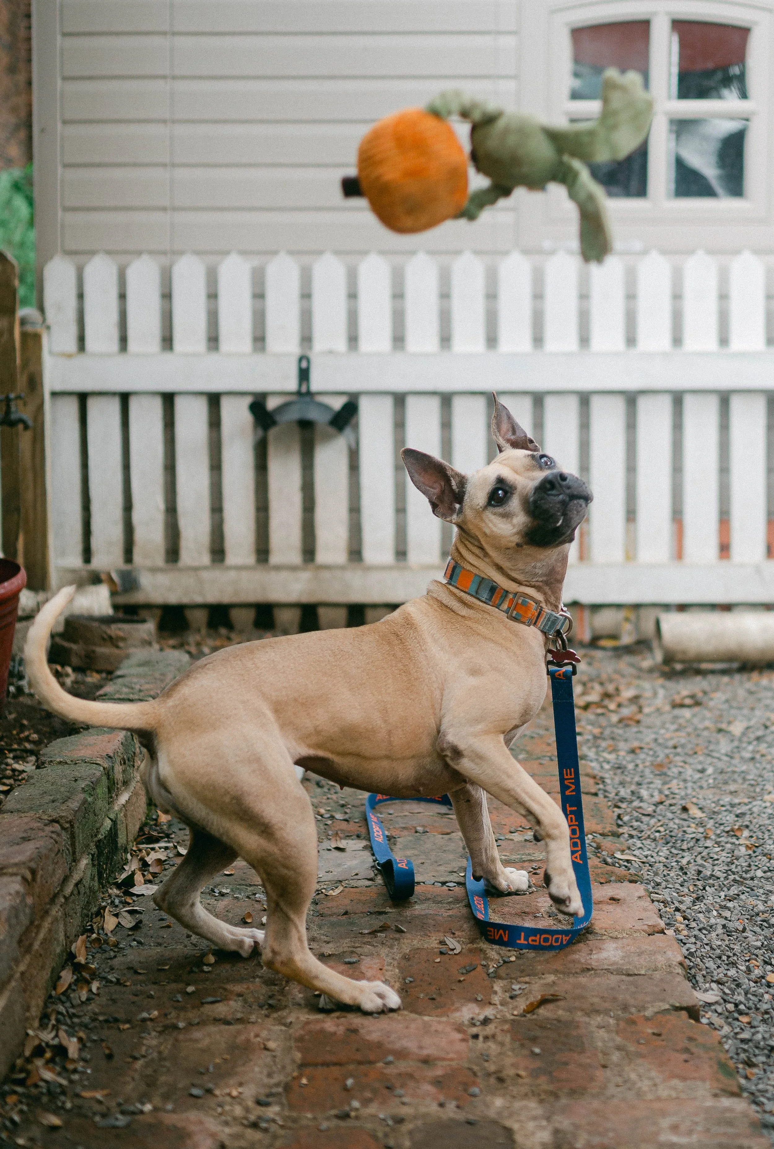 241216zeusrescues_0726.jpg