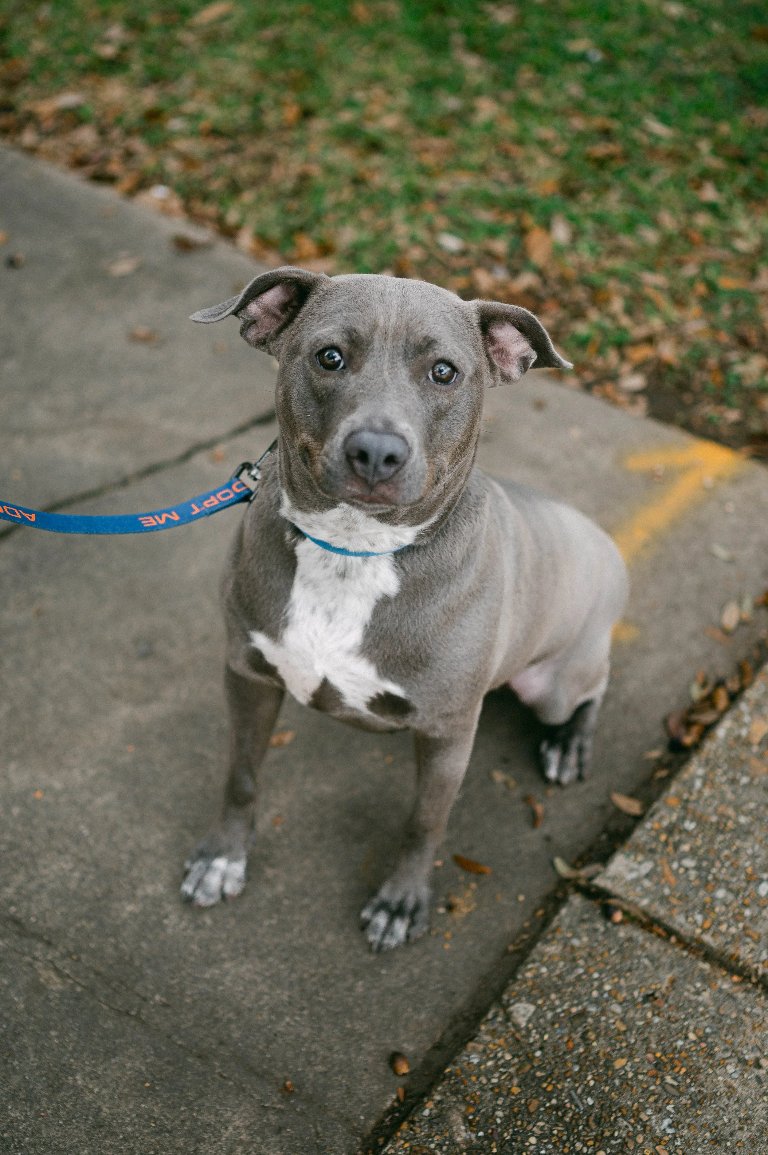 241216zeusrescues_1249.jpg