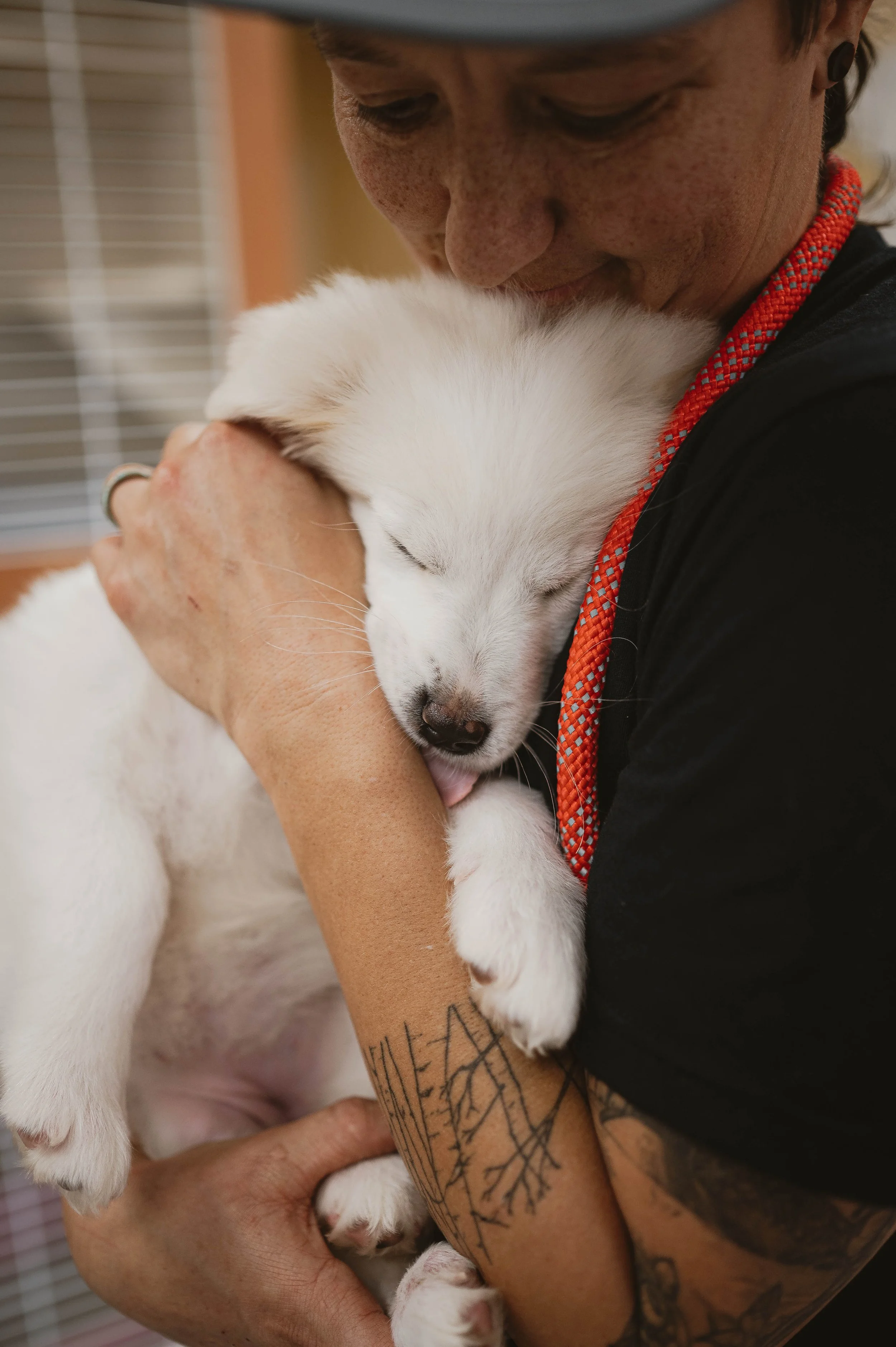 250130zeusrescues_0798.jpg