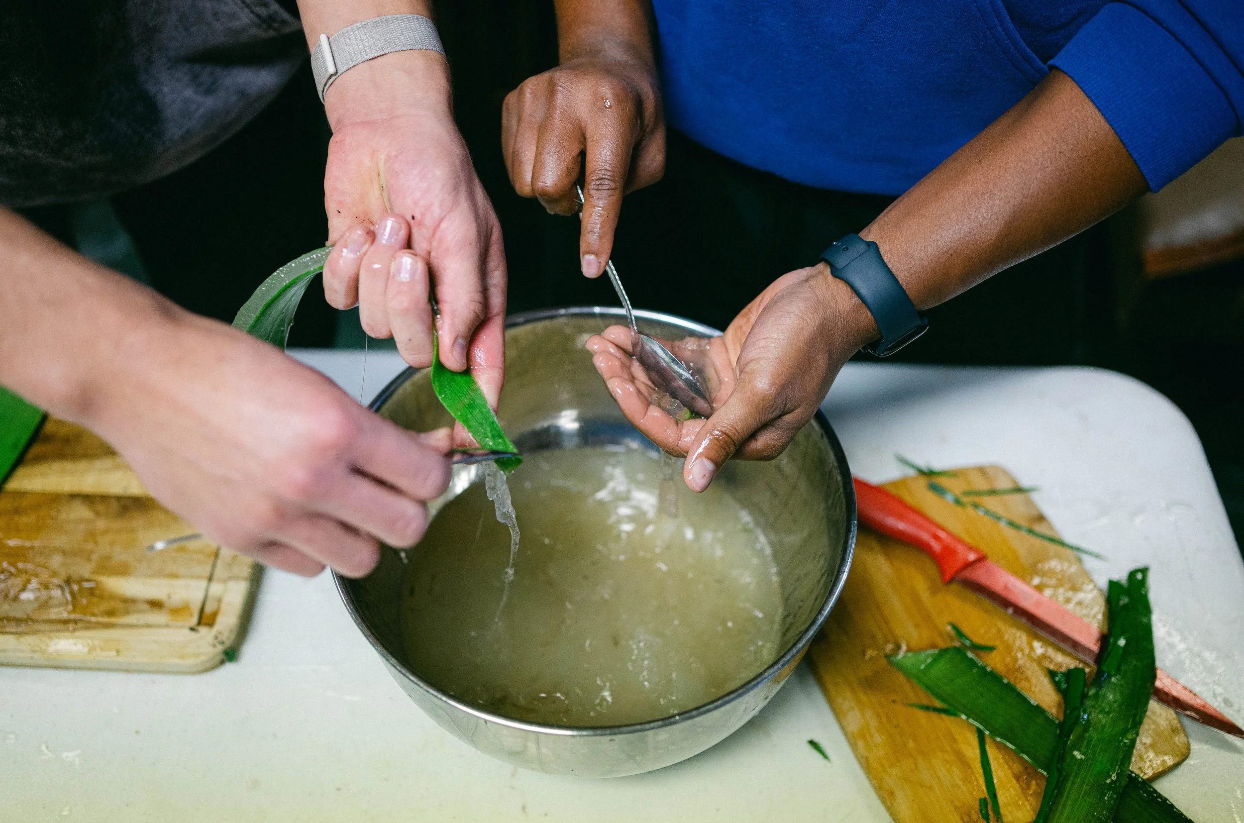 250120apothecaryvolunteers_093.jpg