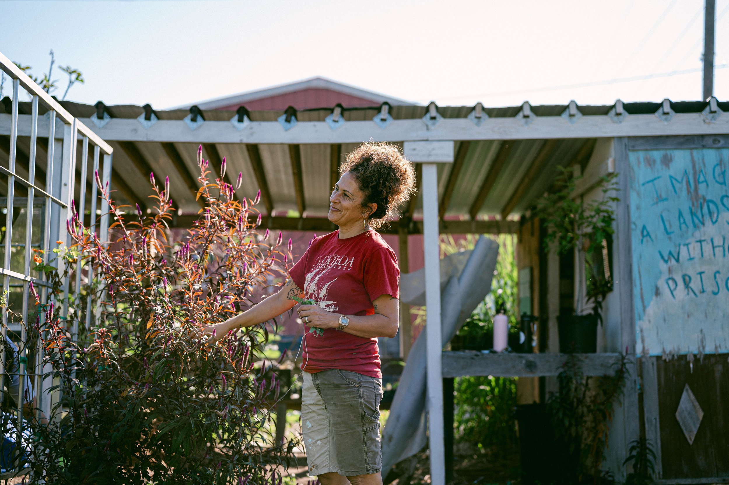241026solitarygardens_022.jpg