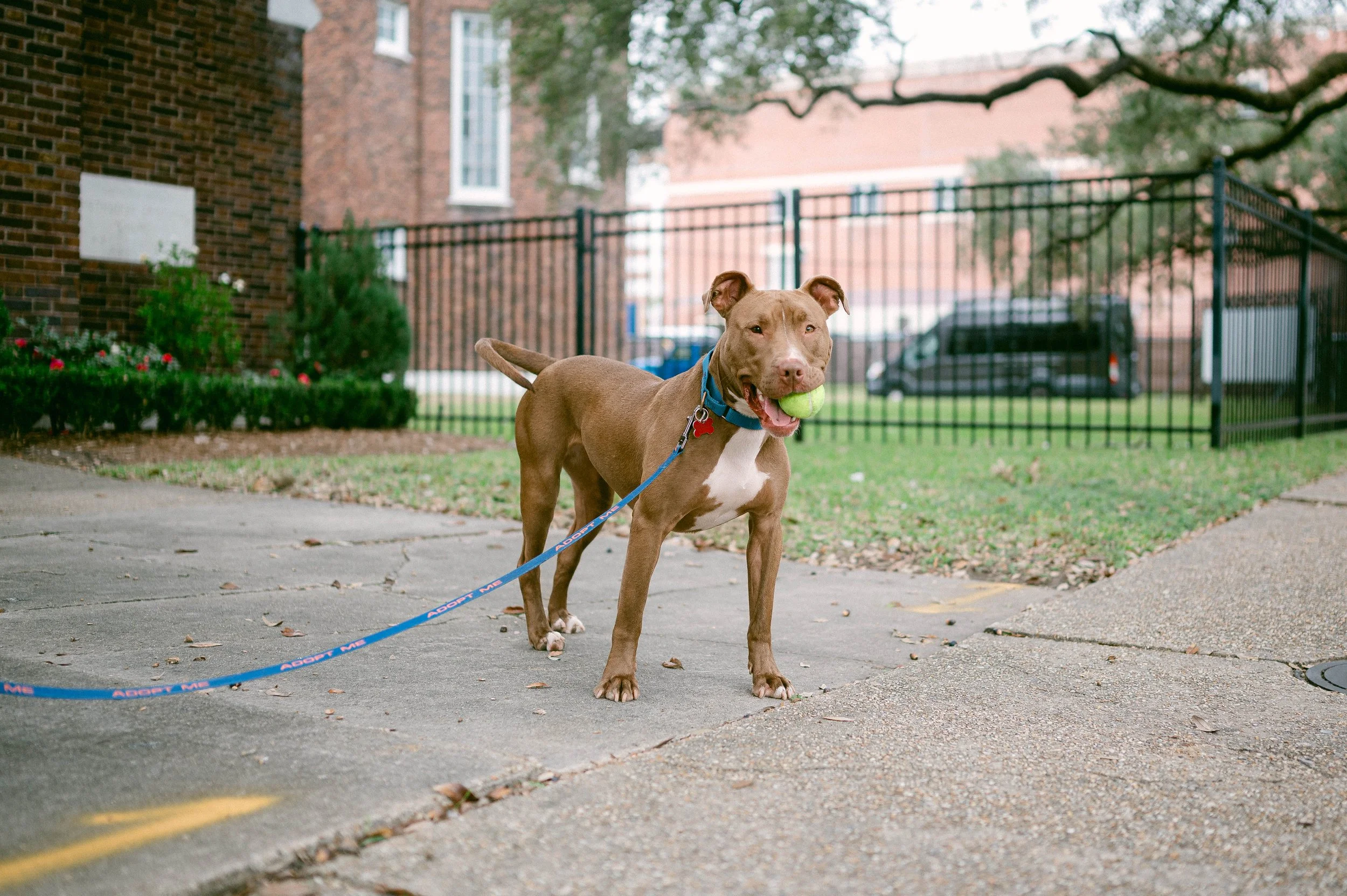 241216zeusrescues_0951.jpg