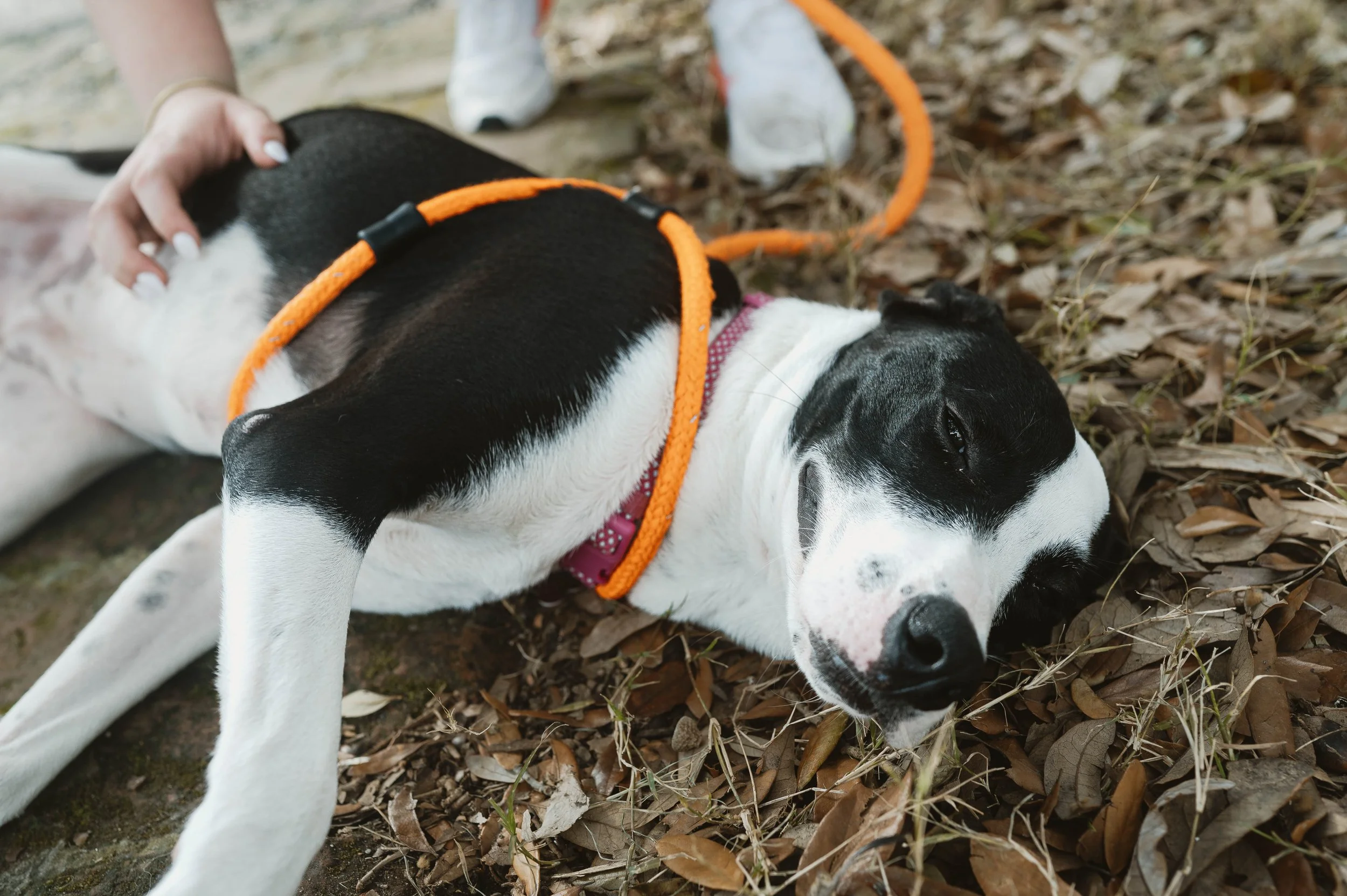 250130zeusrescues_0145.jpg