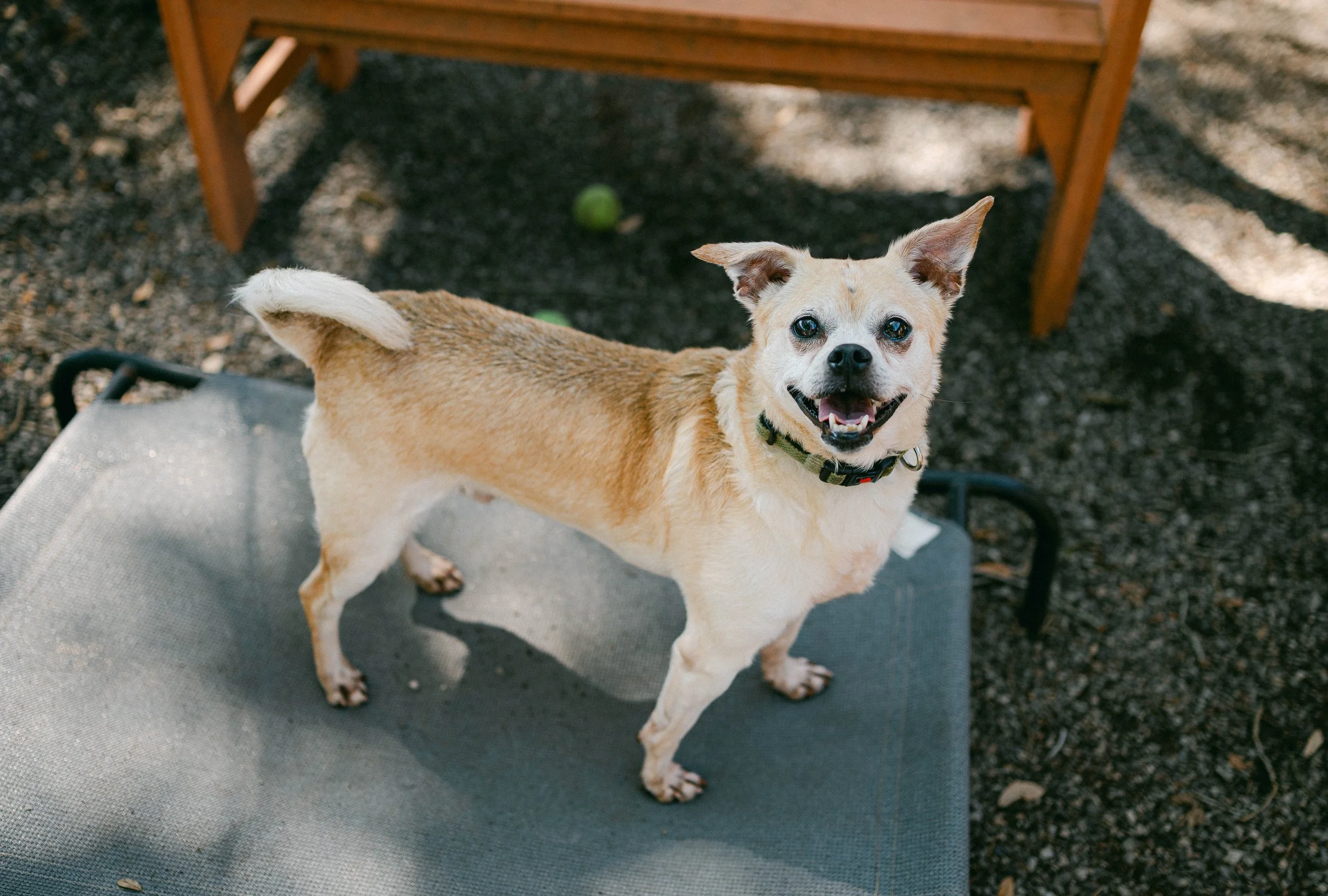 250409zeusrescues_0688.jpg