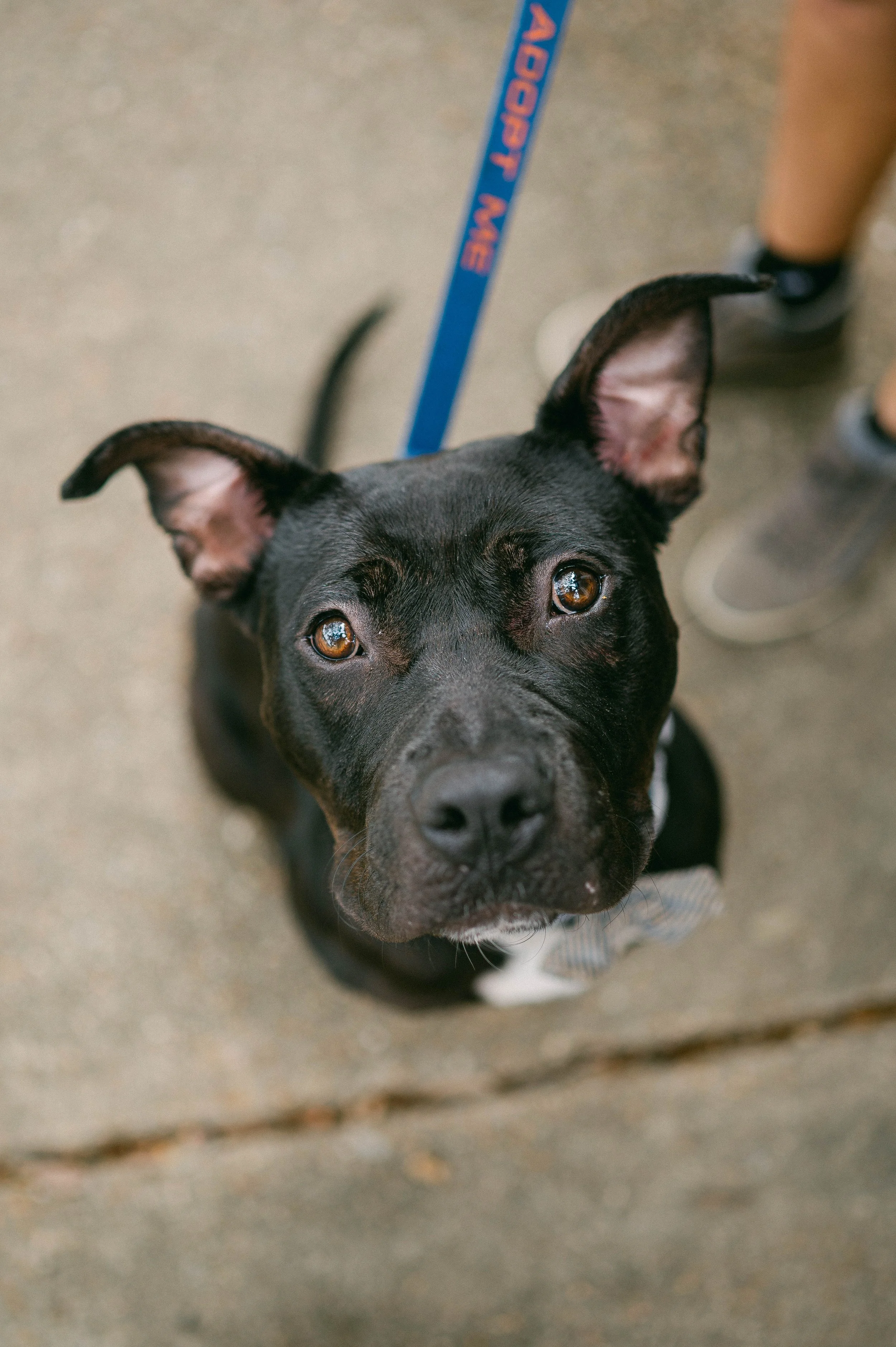 241216zeusrescues_1100.jpg