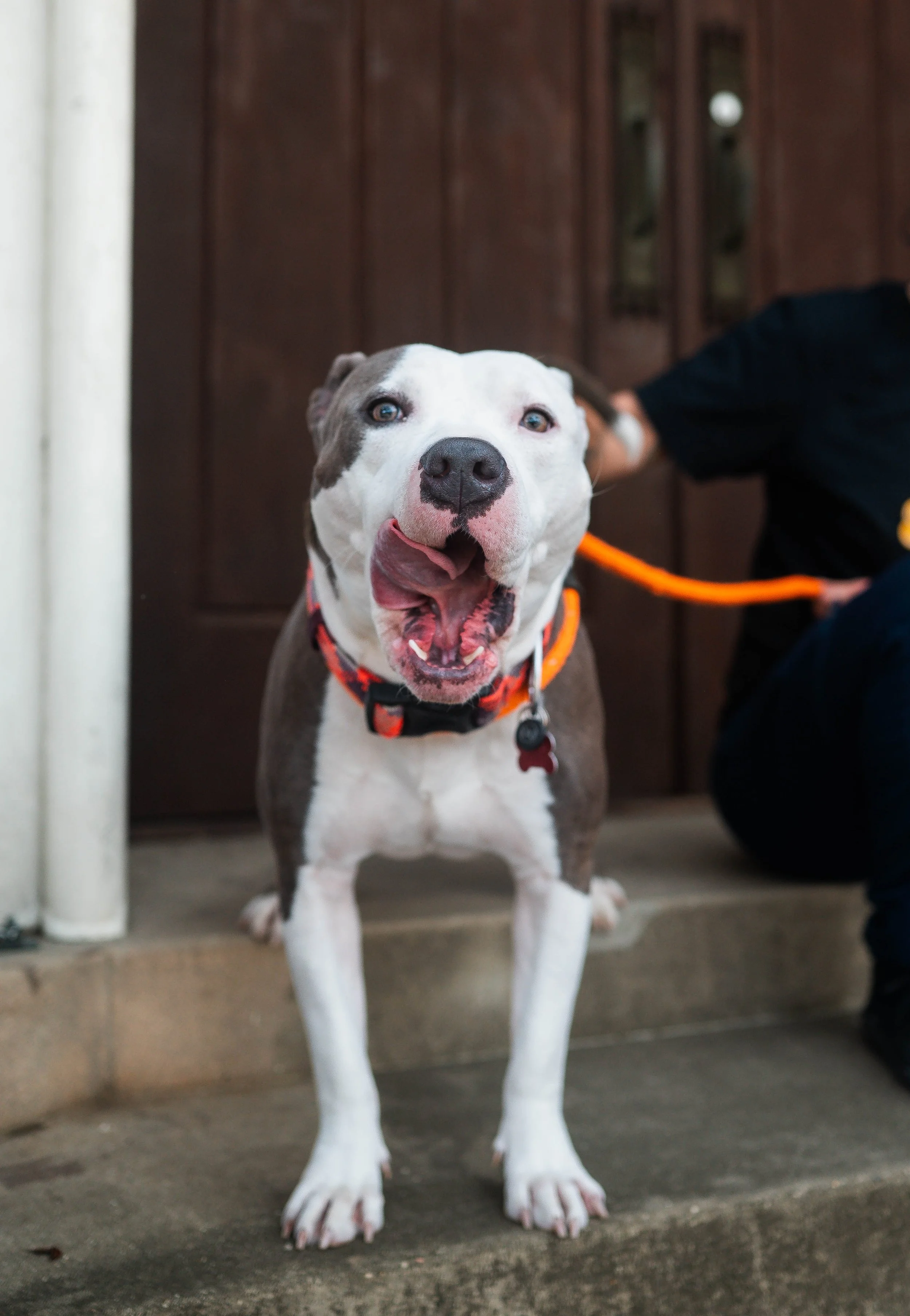 250130zeusrescues_0384.jpg