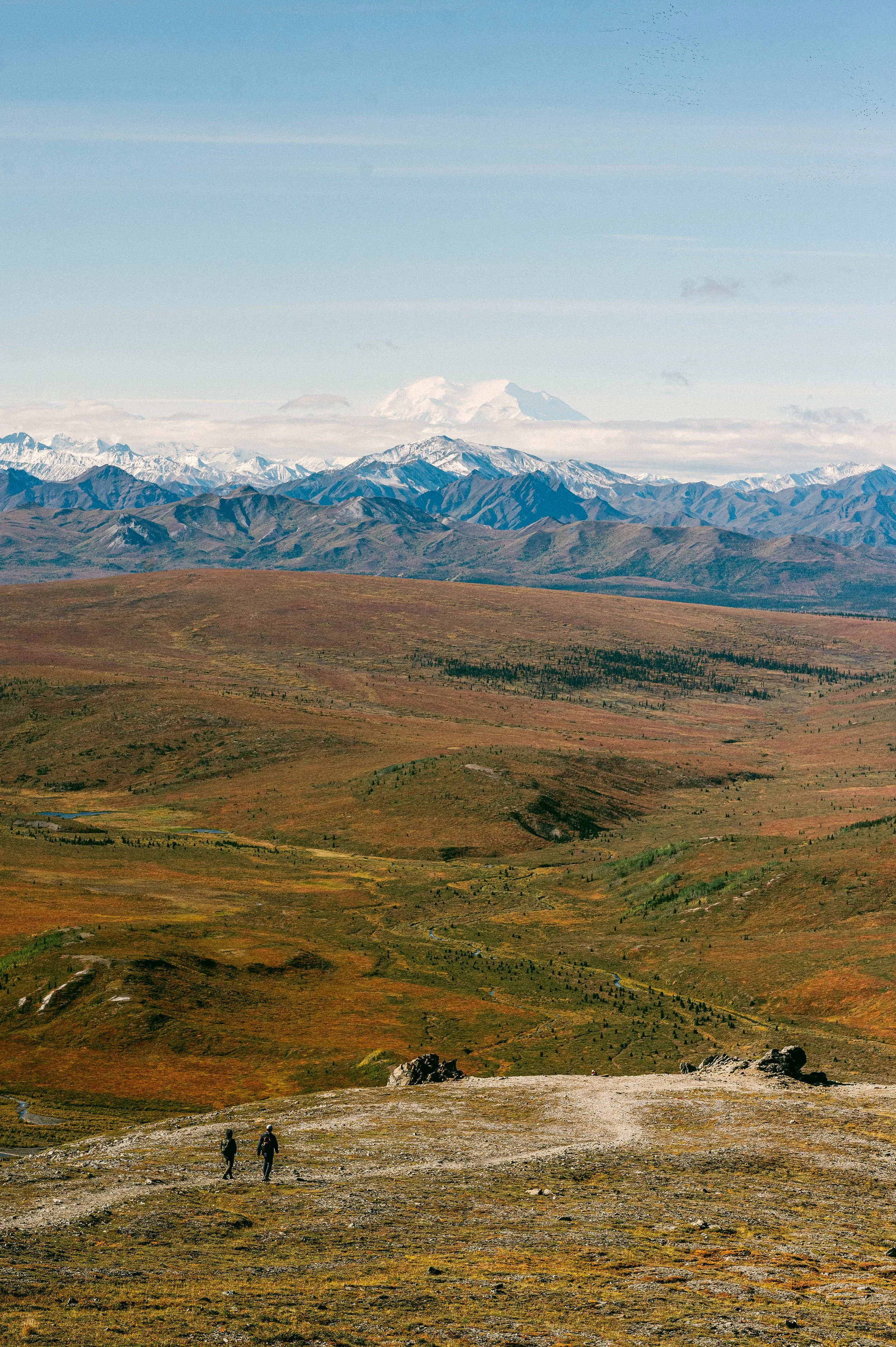 230831-0902denali_0823.jpg