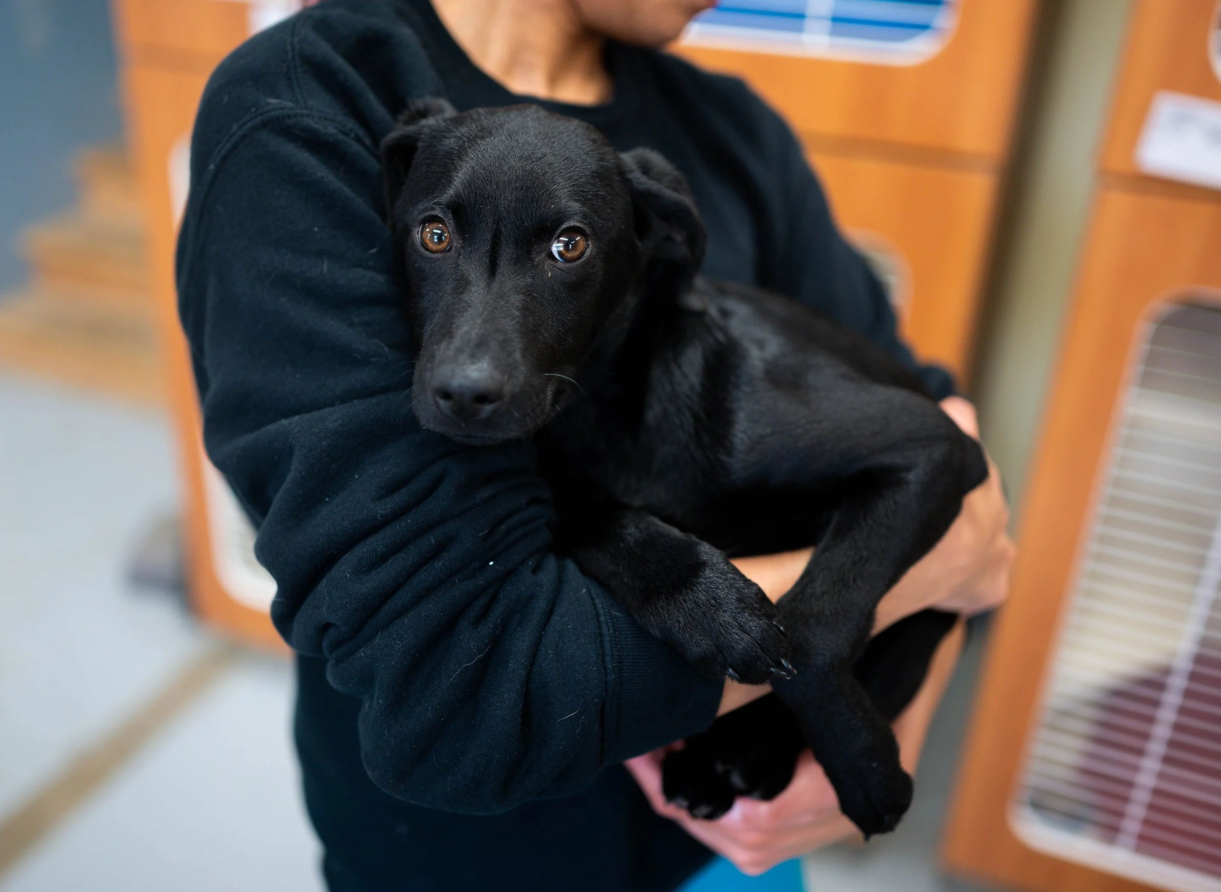 250130zeusrescues_1011.jpg