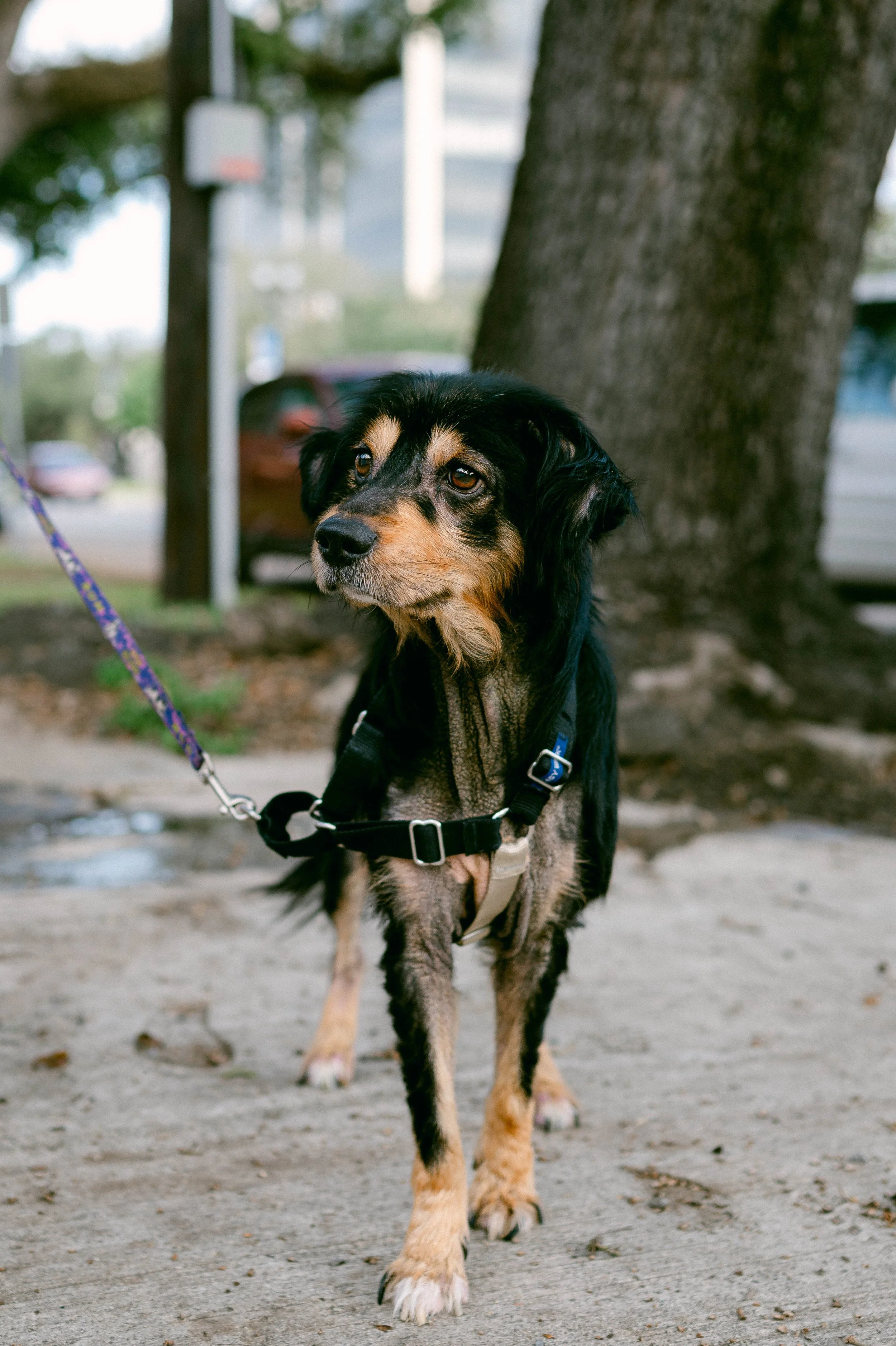 241216zeusrescues_0292.jpg