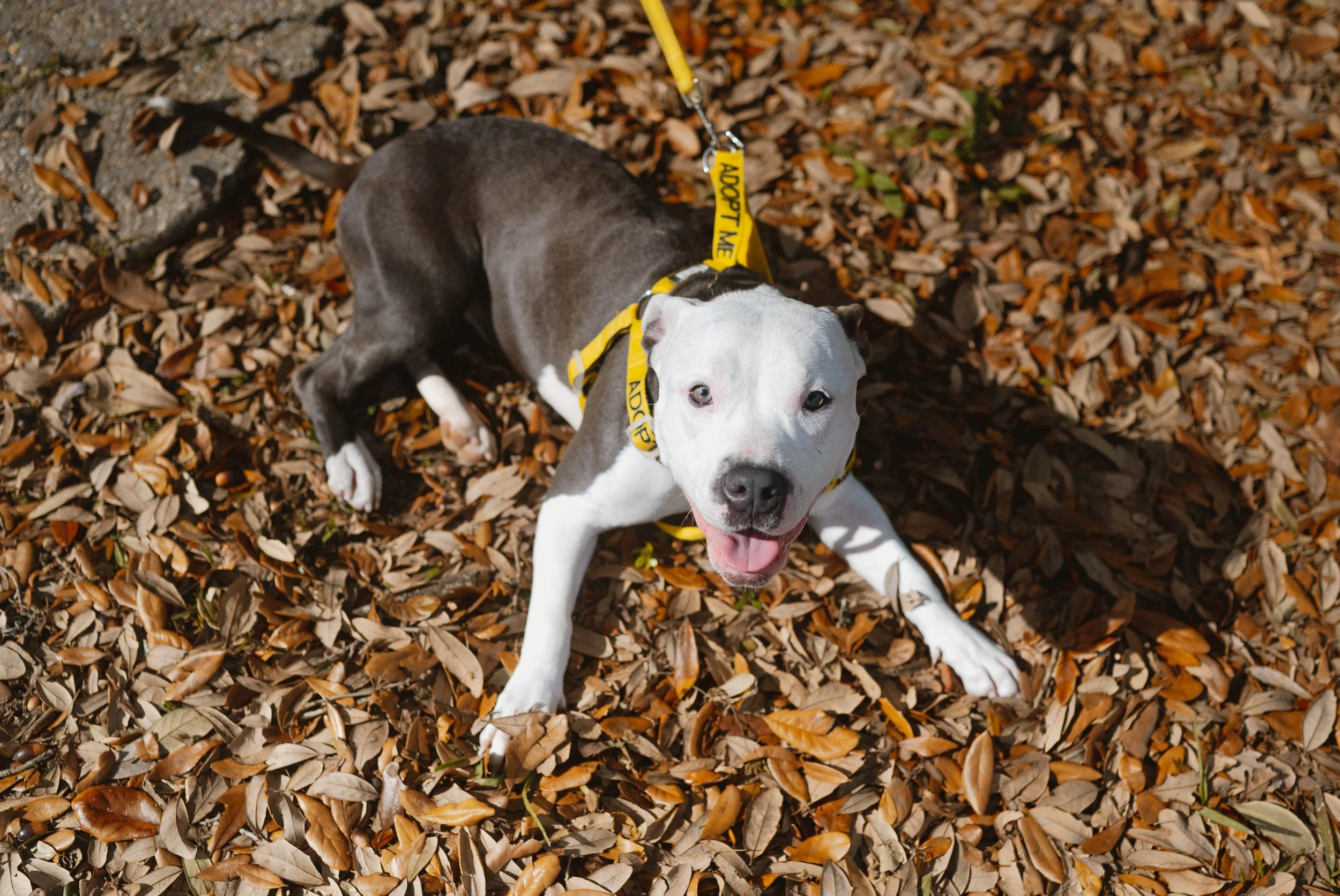 250130zeusrescues_0267.jpg