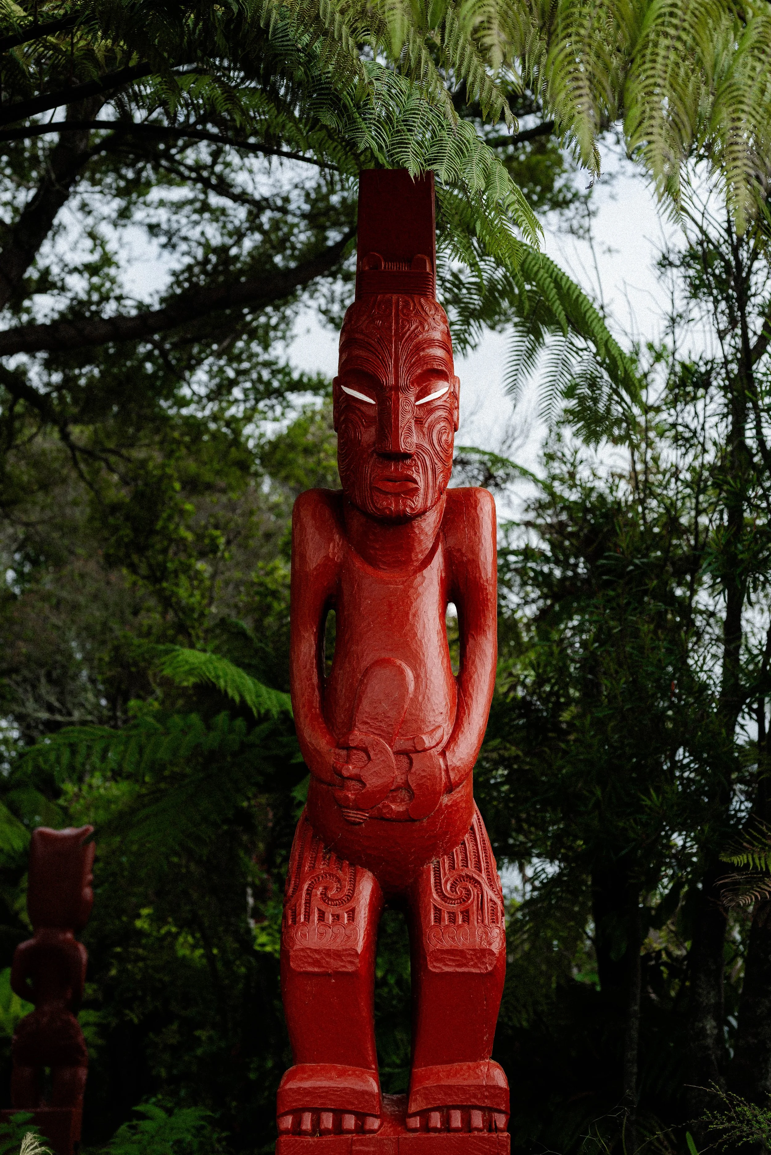 251230-260106HMnewzealand_0806.jpg