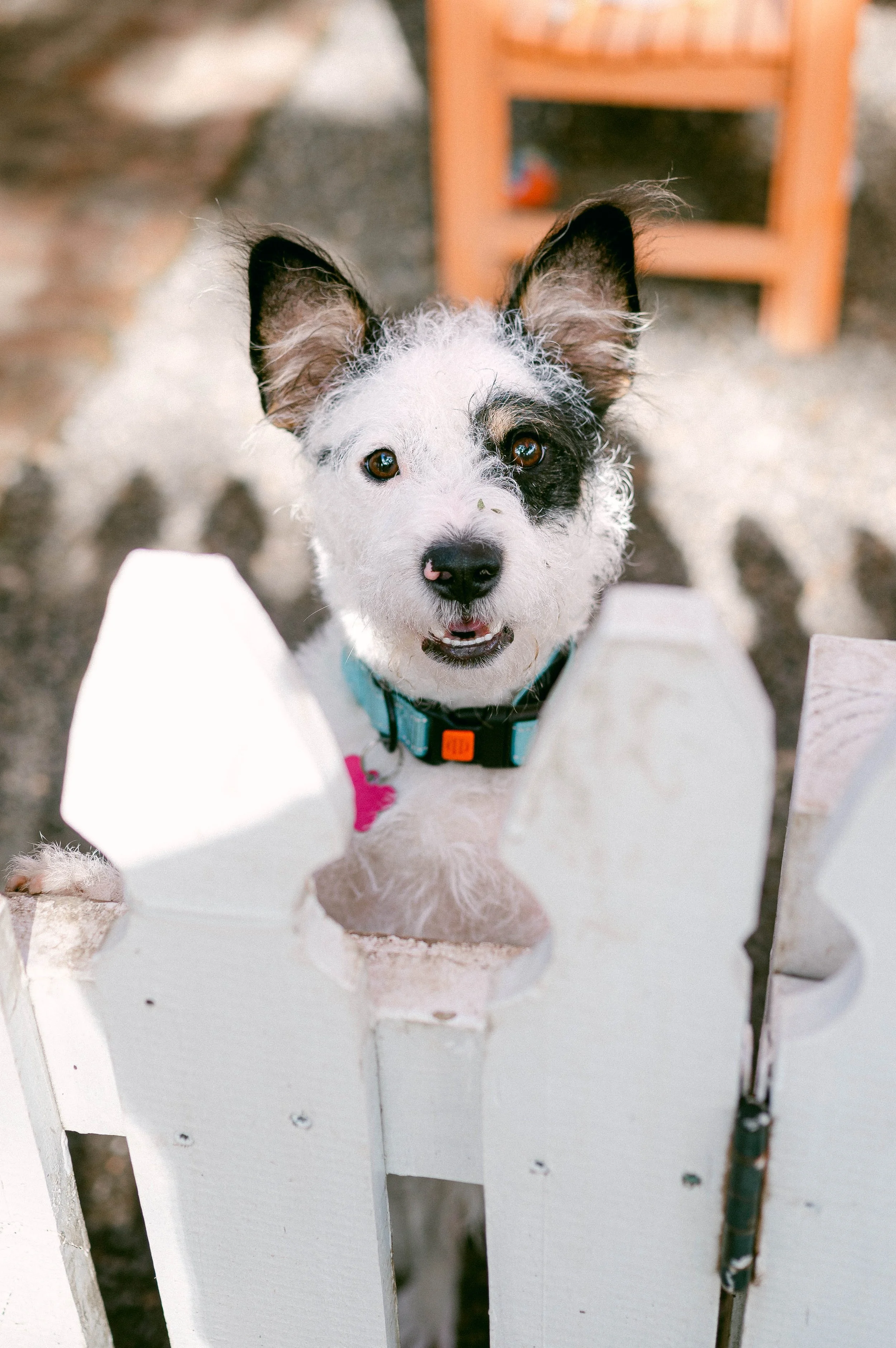 241216zeusrescues_0111.jpg