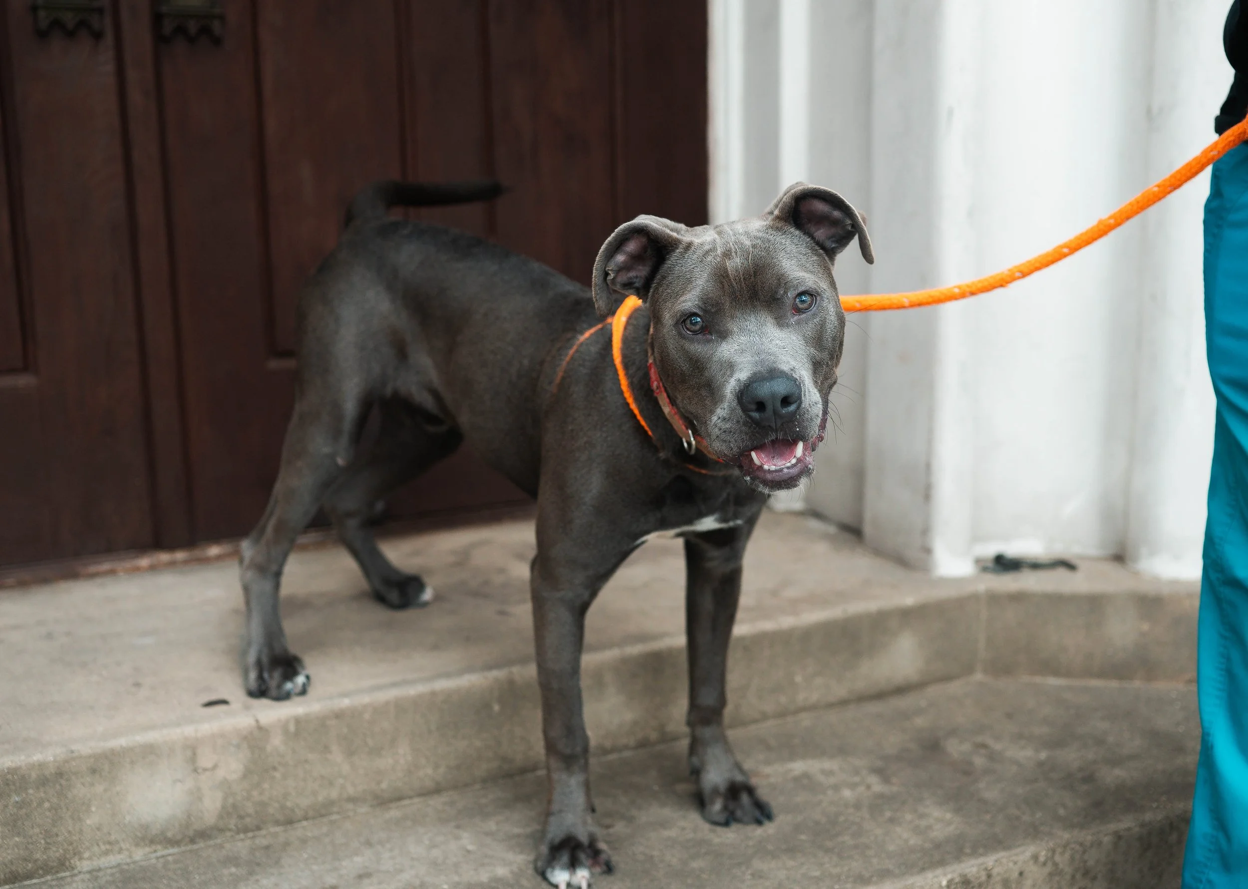 250130zeusrescues_0459.jpg