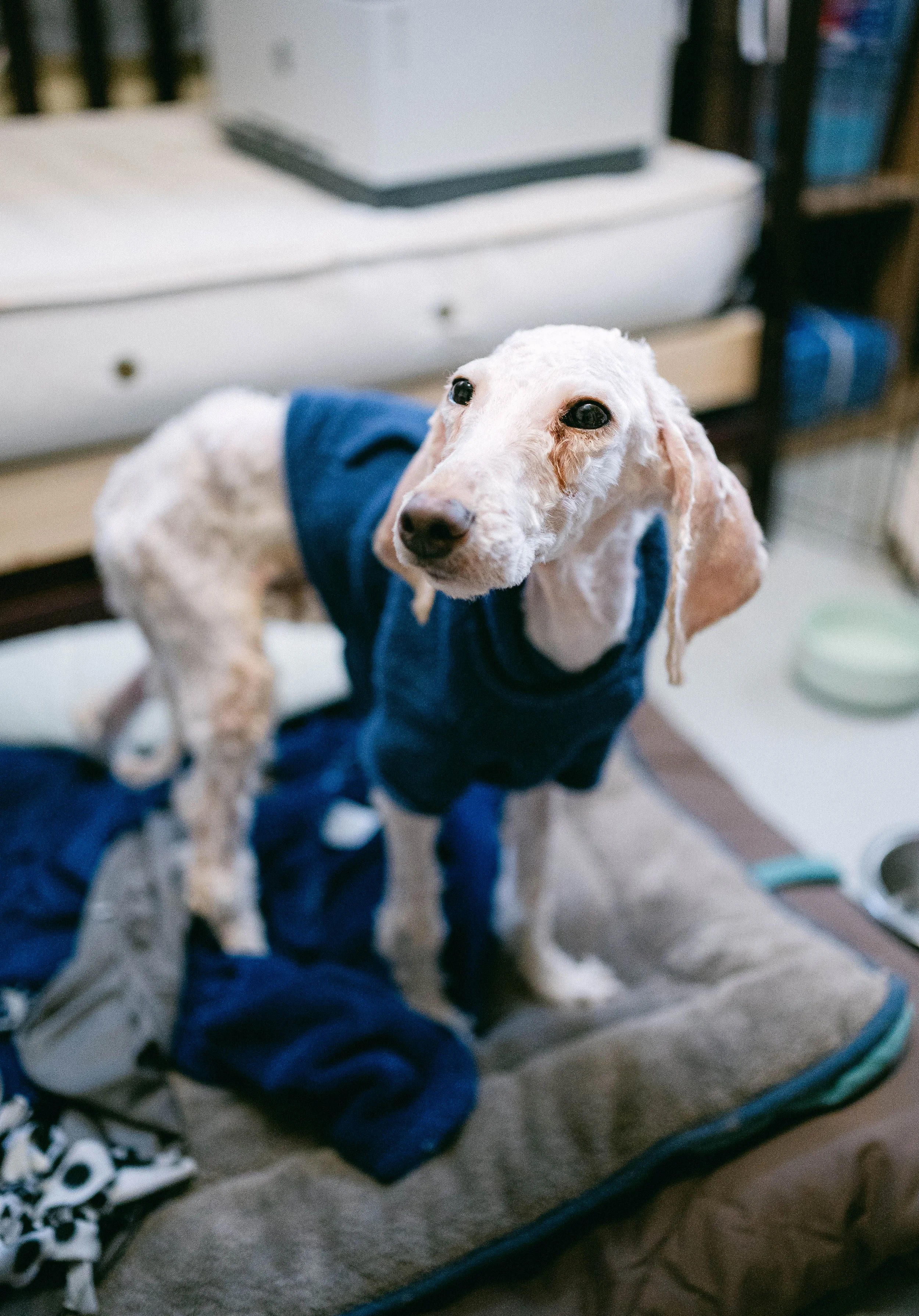 250501zeusrescues_0418.jpg