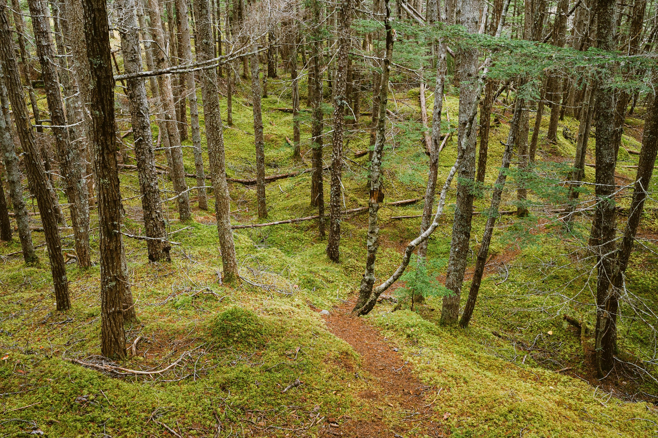 230906skagway_501.jpg
