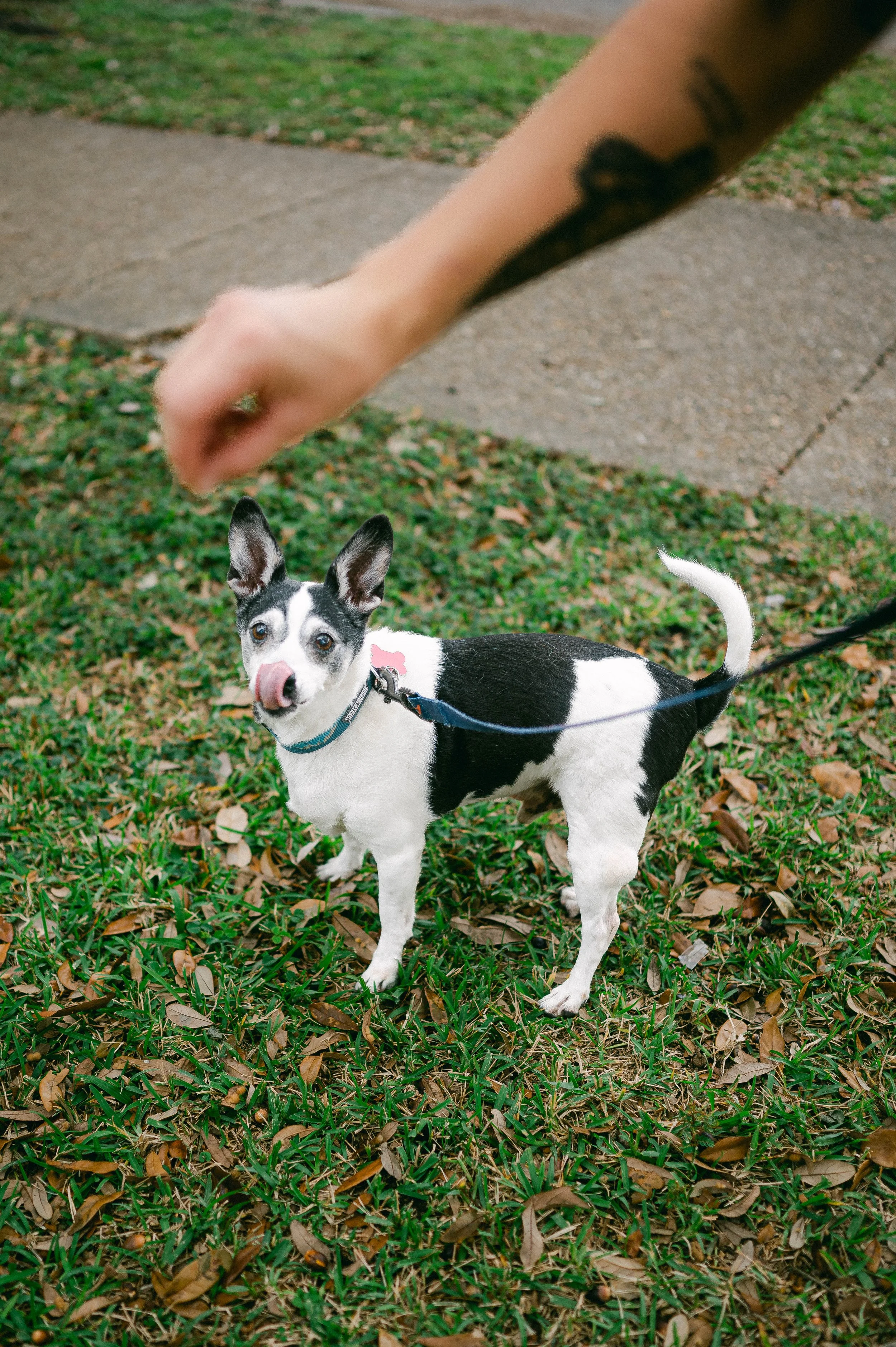 241216zeusrescues_1380.jpg