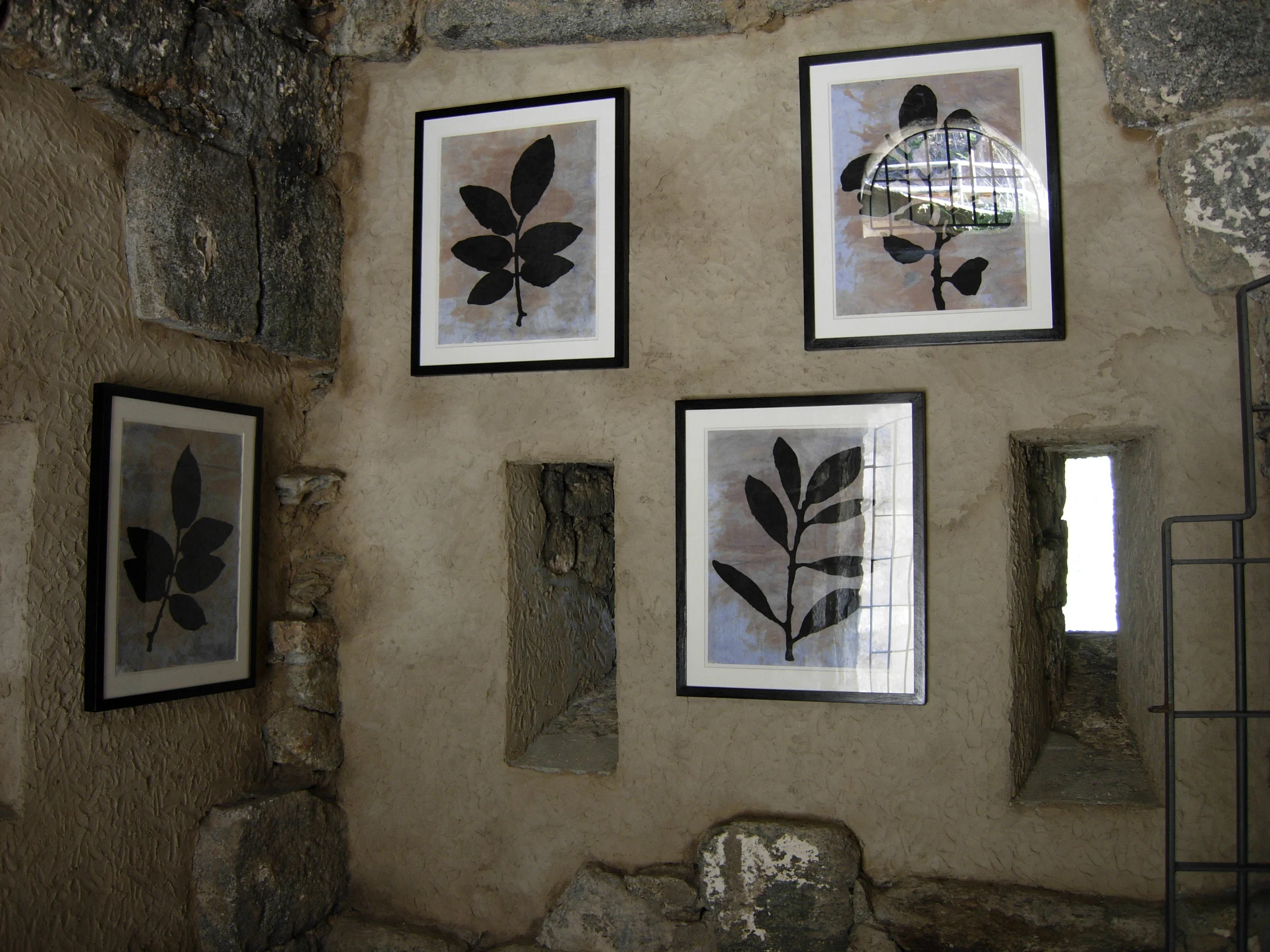 DSCN1197.JPG