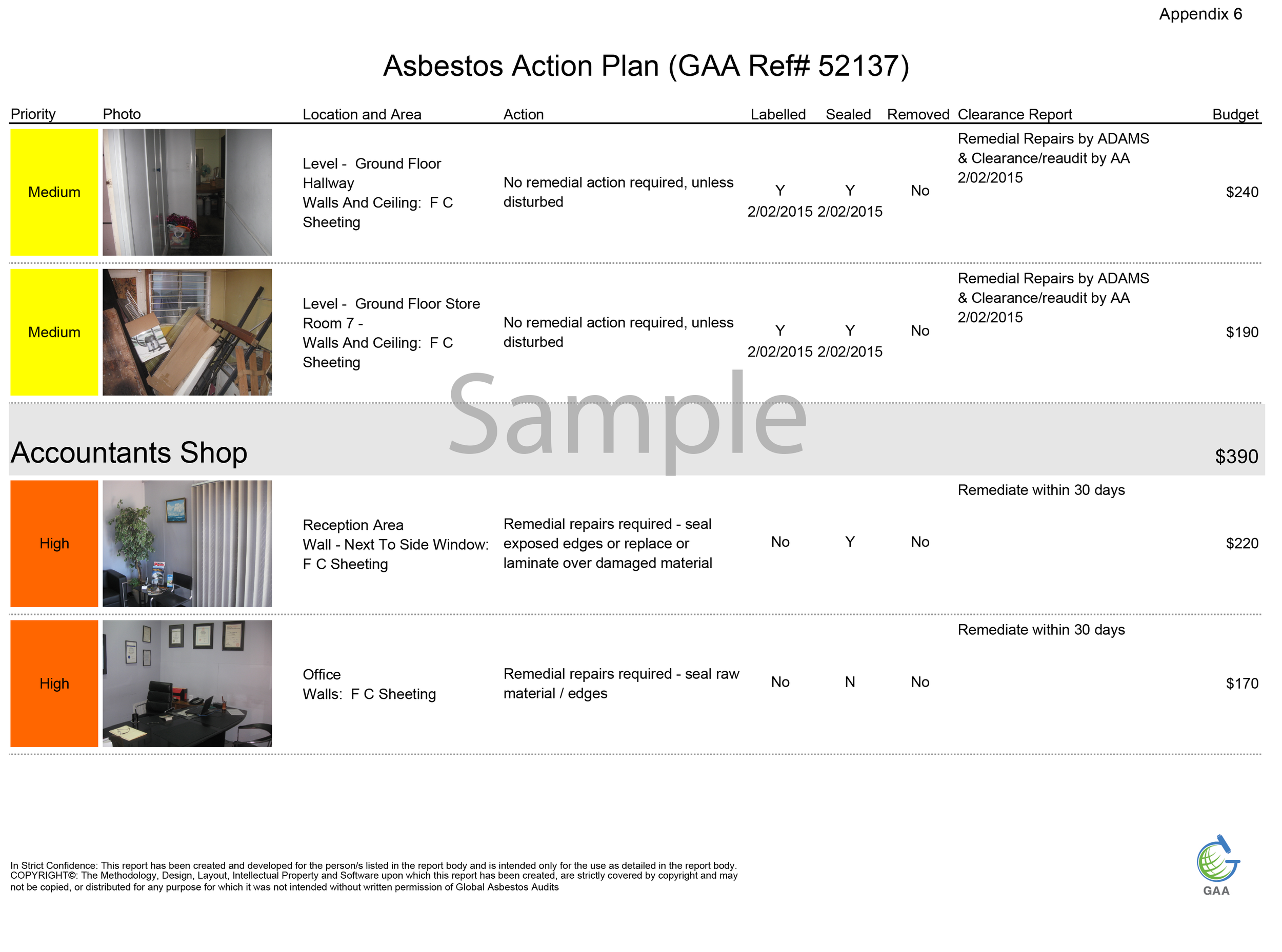 Appendix 6 Action Plan.png