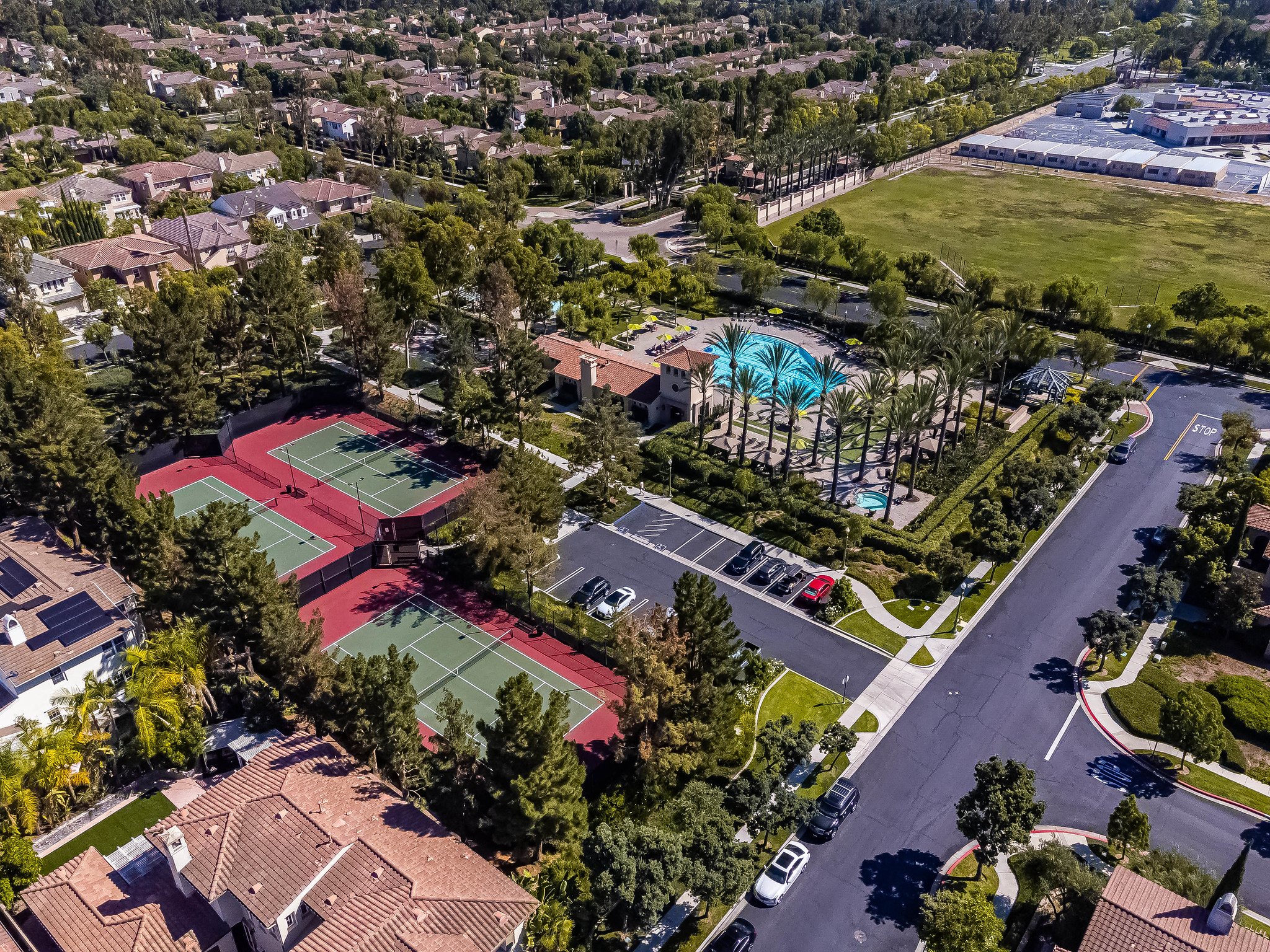 53085949877_34da680317_k (1).jpg