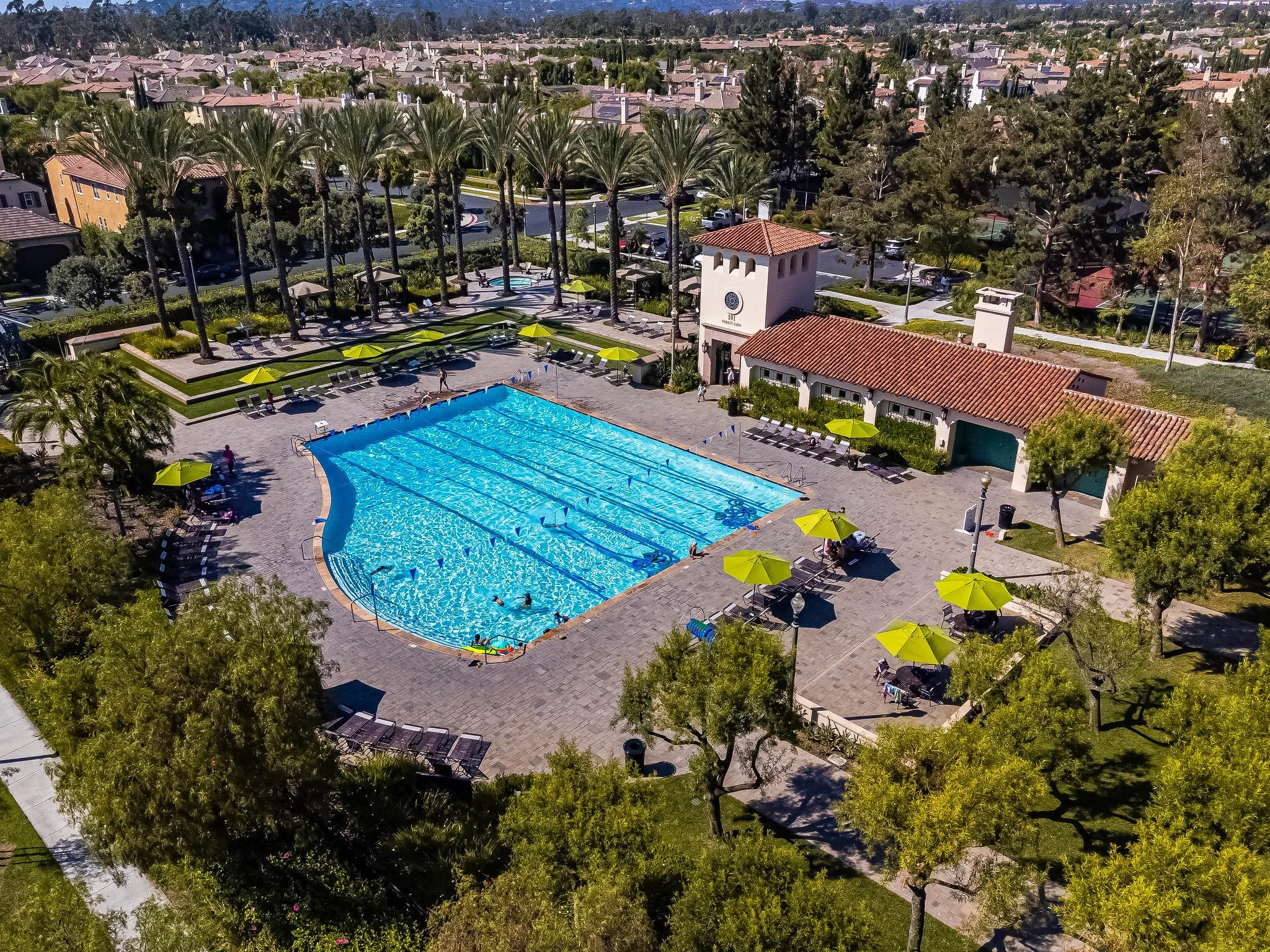 53086518256_dee9032889_k (1).jpg