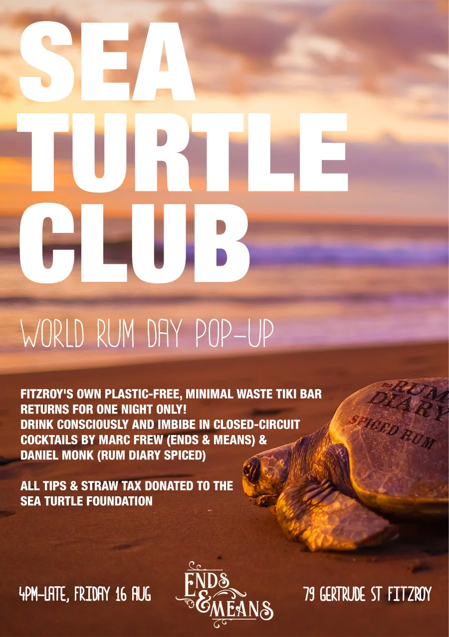 TURTLE CLUB POSTER web.jpg