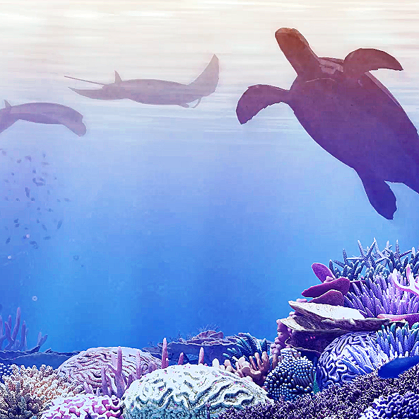 Screenshot 2026-03-12 at 3.59.00 pm.png