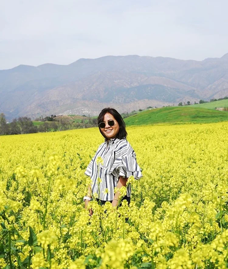 Miguez Tabora - Lithe Collective