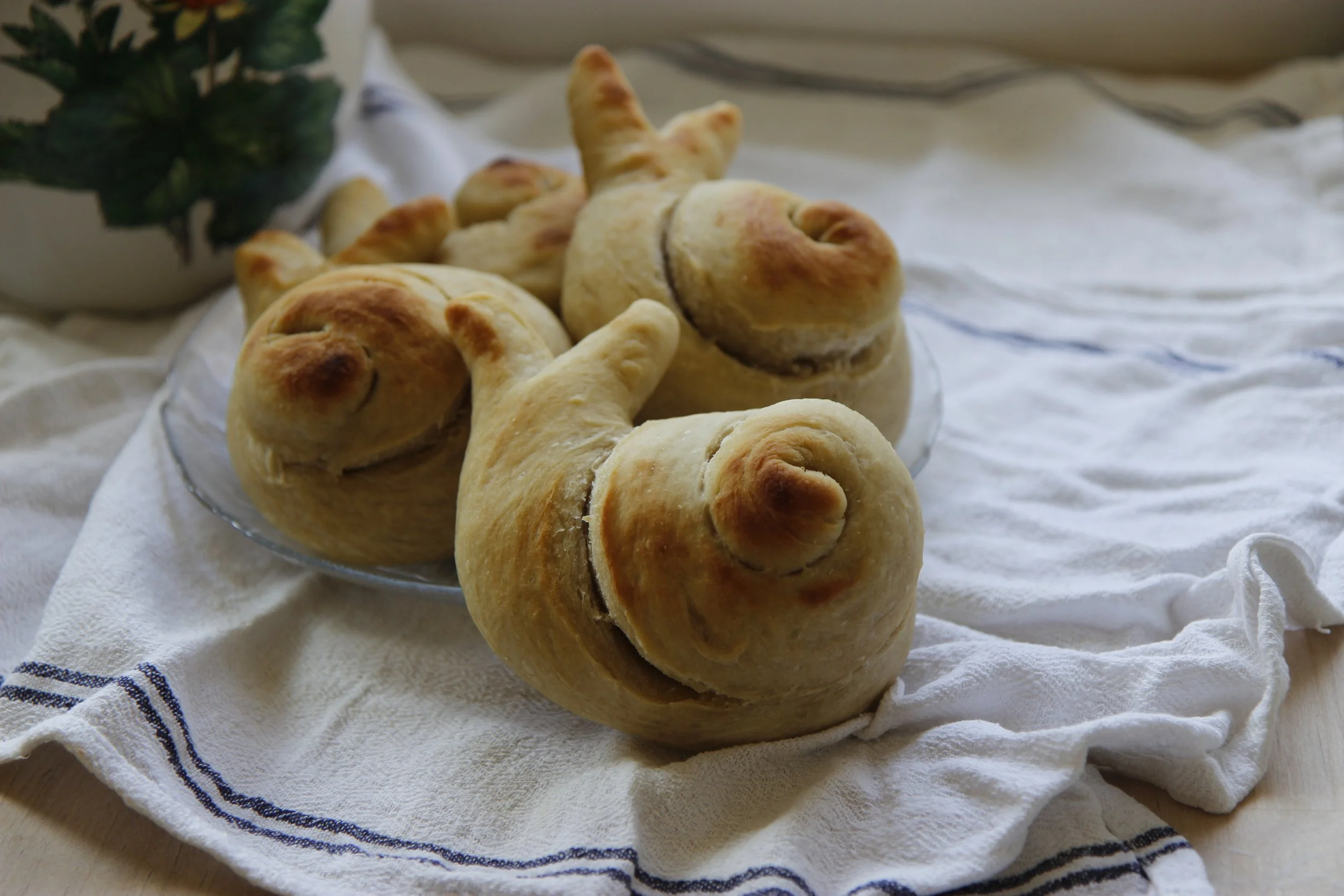 Lumache Brioche 