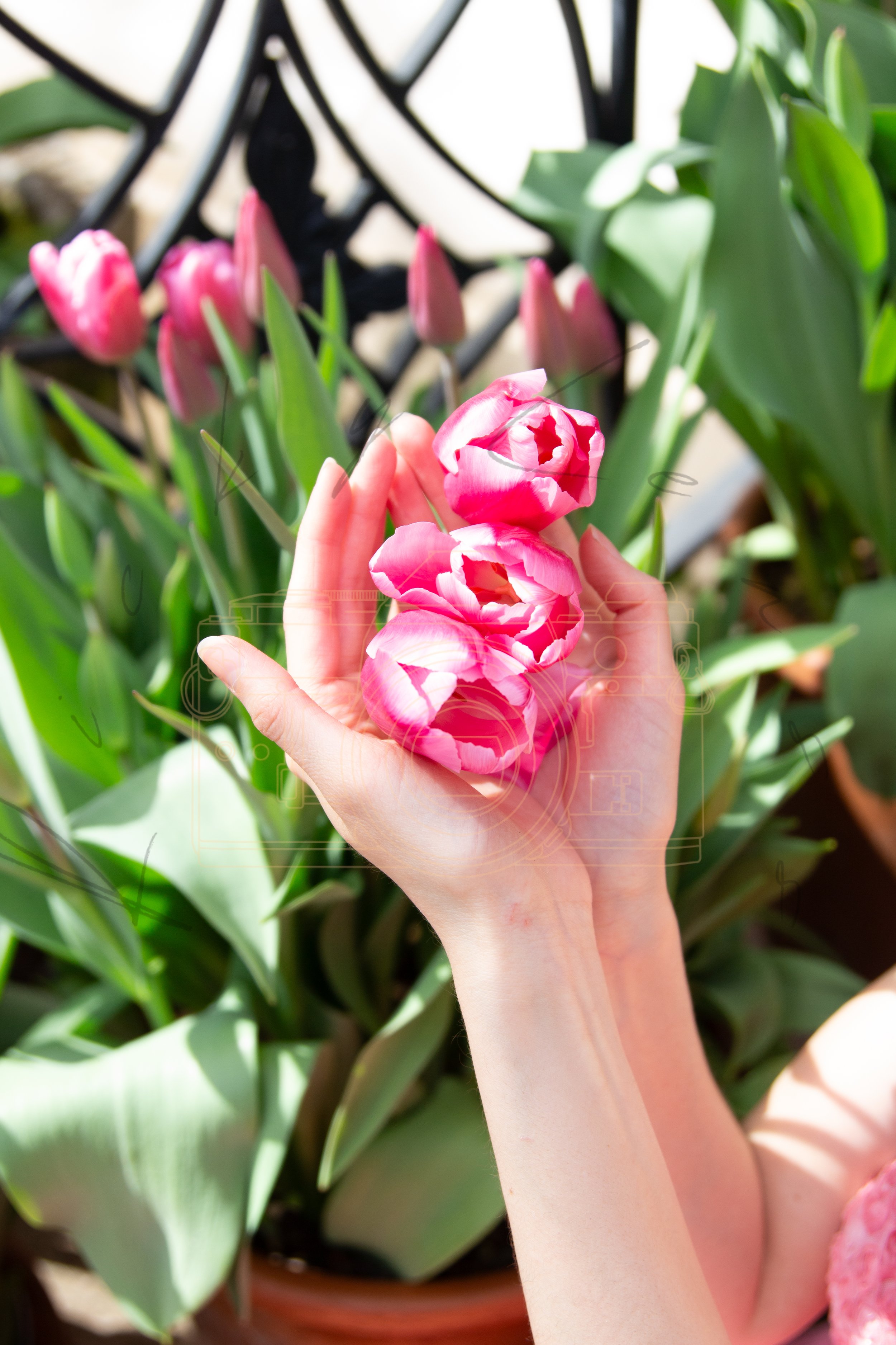 Spring Bloom (24 of 66).jpg