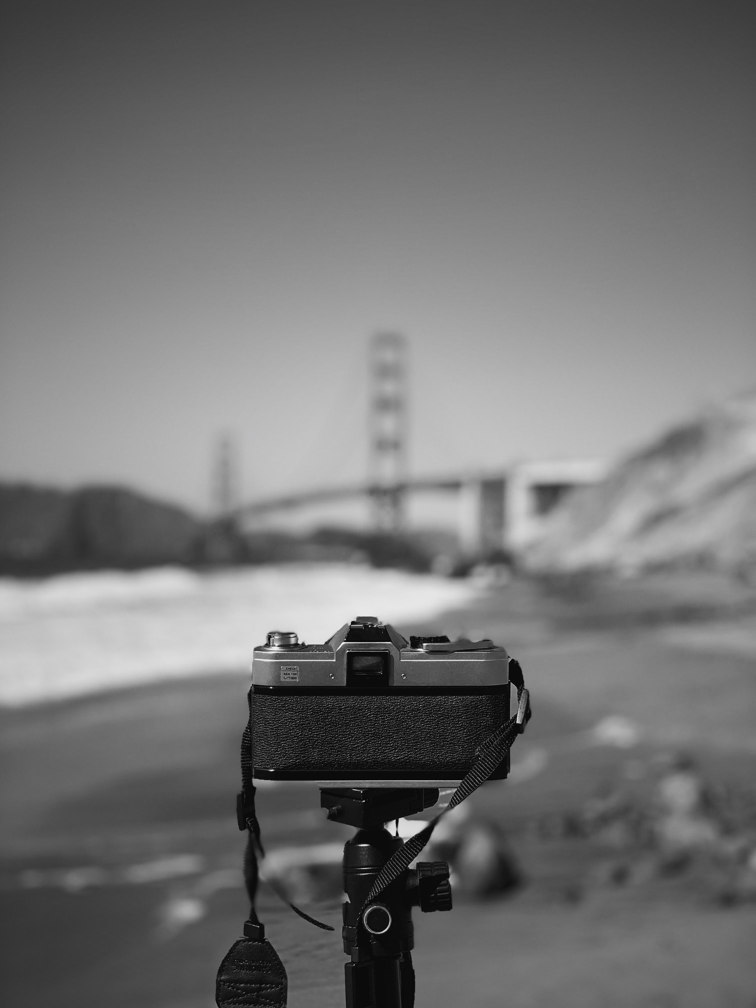 FullSizeRender 37.jpg