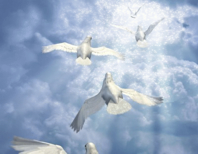 doves-flying-to-light.png