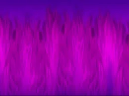 imagesvvf.jpg