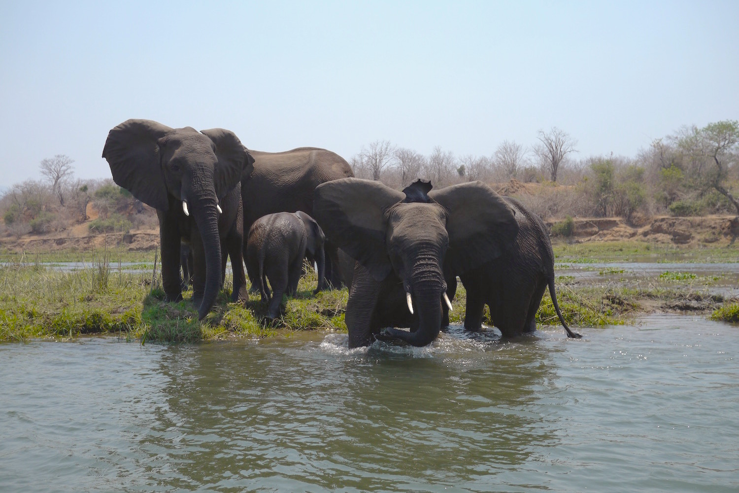 Lower Zambezi