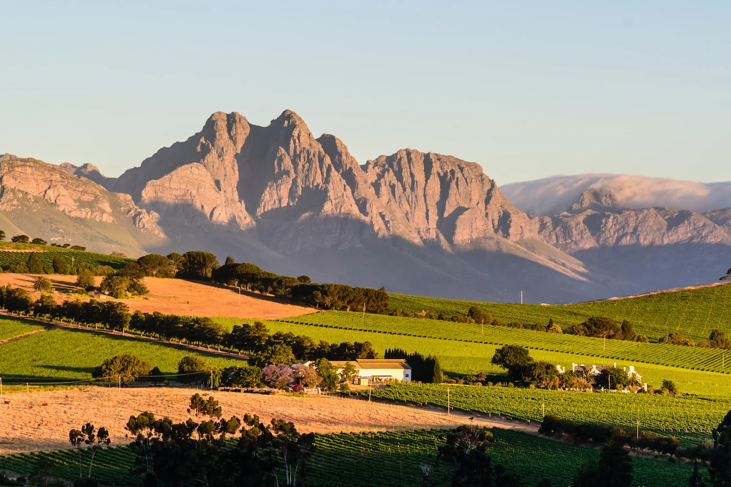 Drei mal 3 | Südafrikas Weinregion