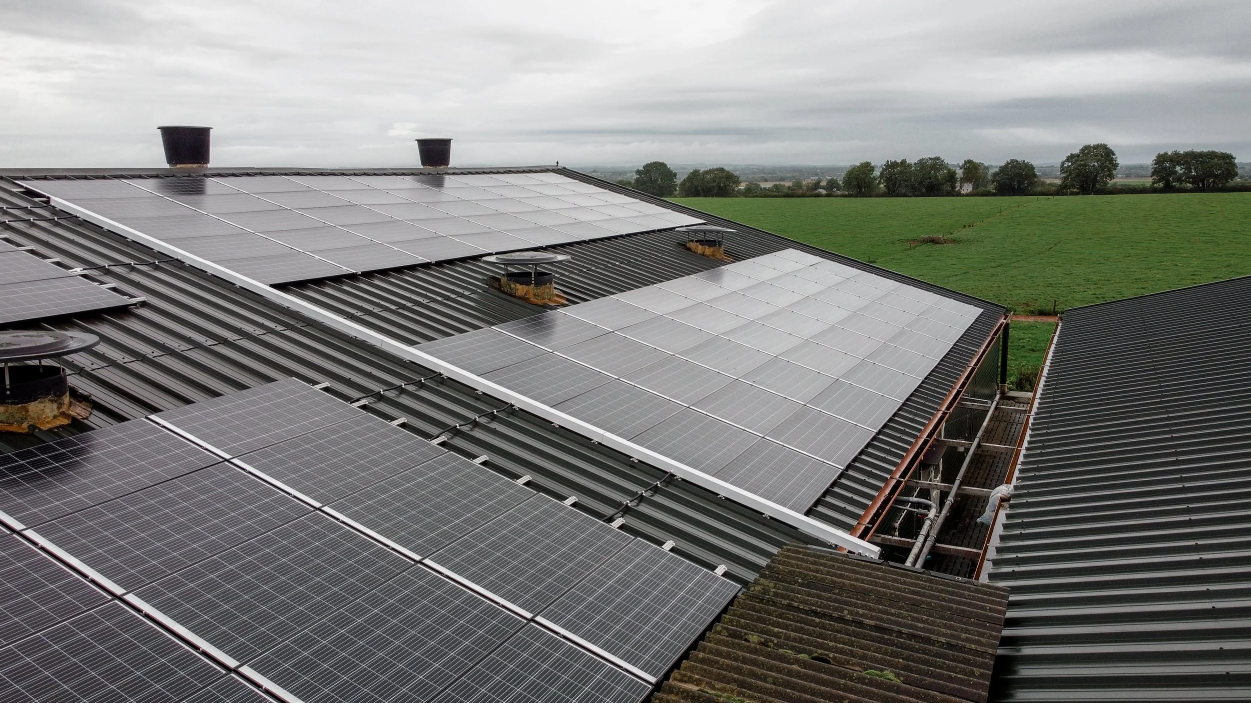 Pig farm Hanrahans-7.JPG