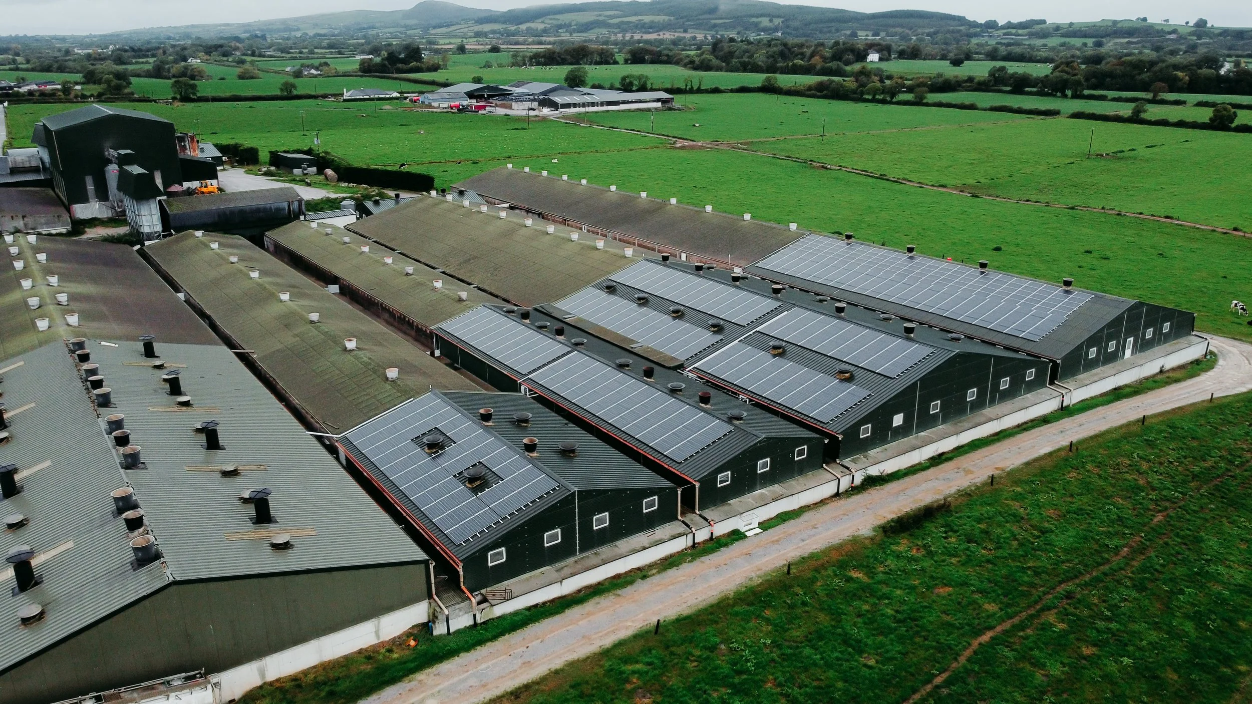 Pig farm Hanrahans-4.JPG