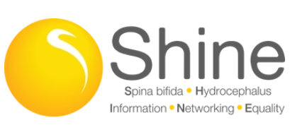 Shine logo