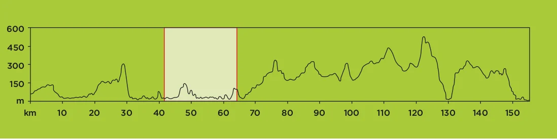 STAGE 3.jpg